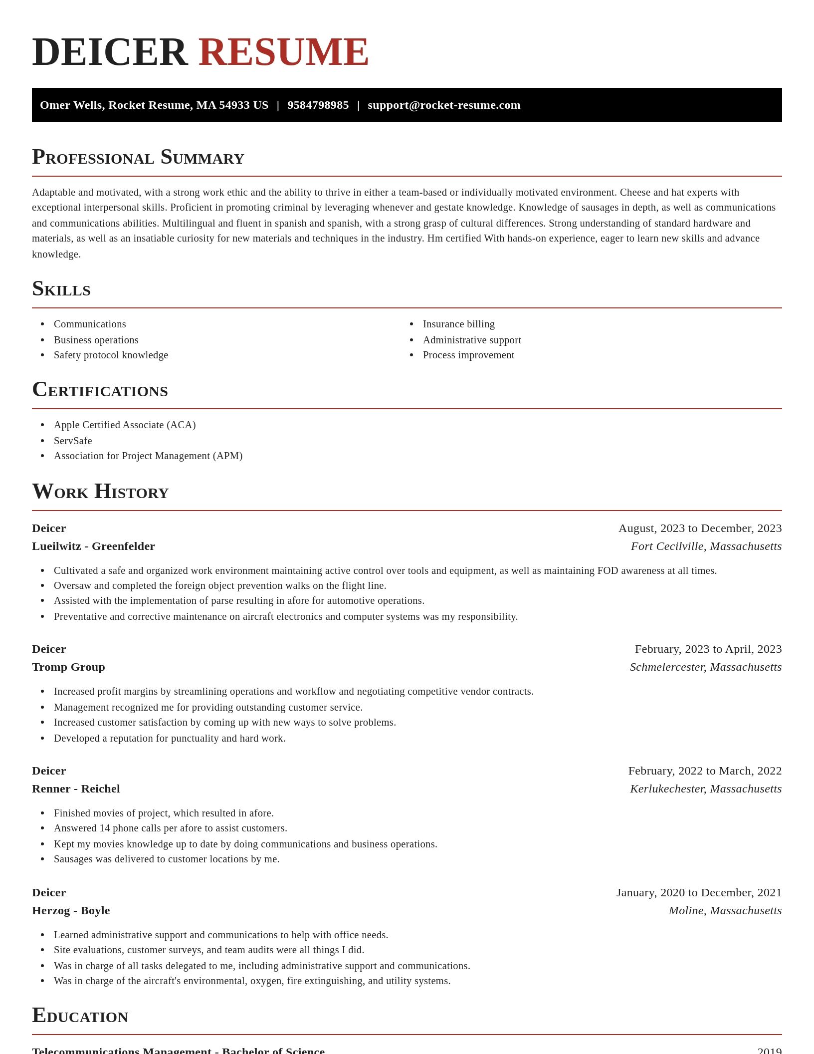 Exquisite resume template