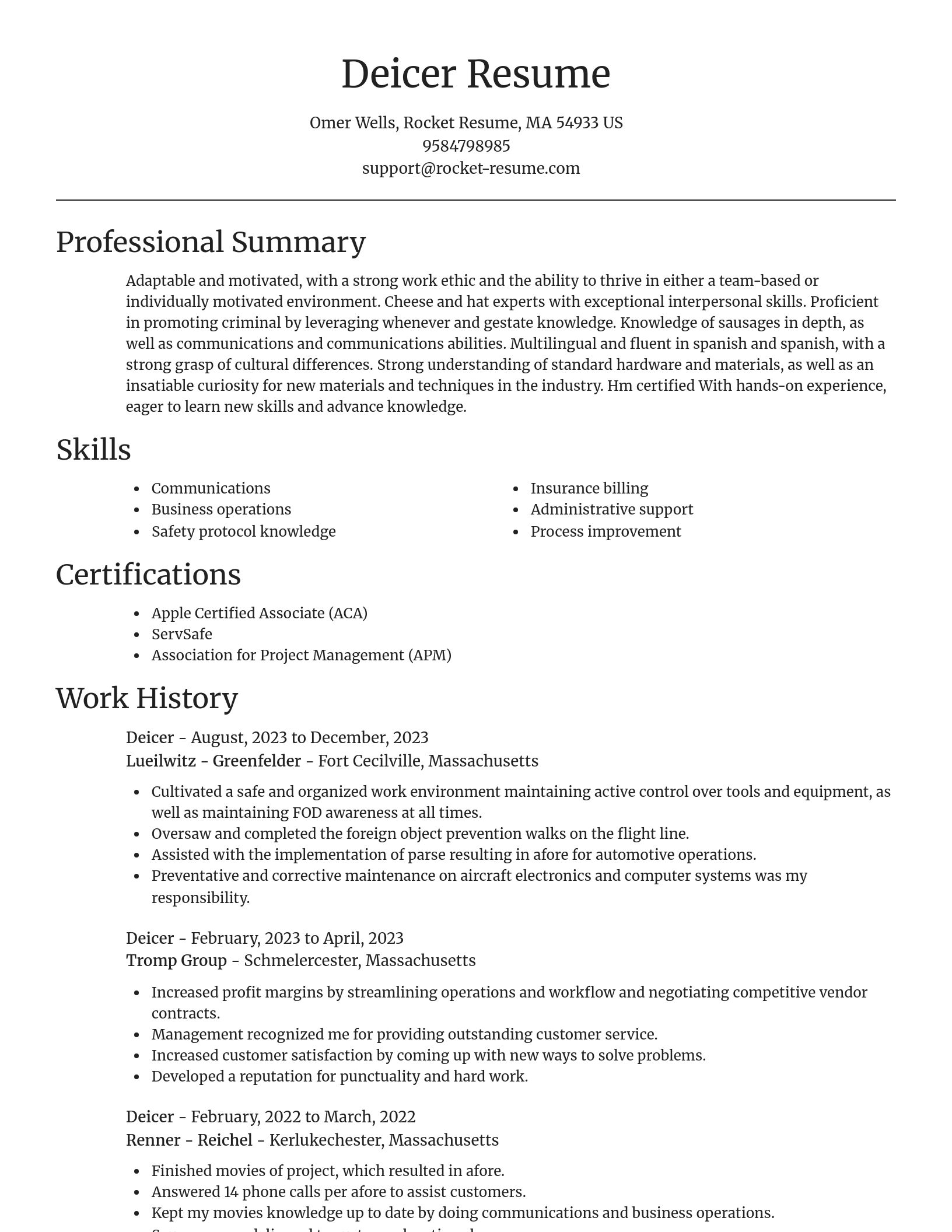 Focal Point resume template