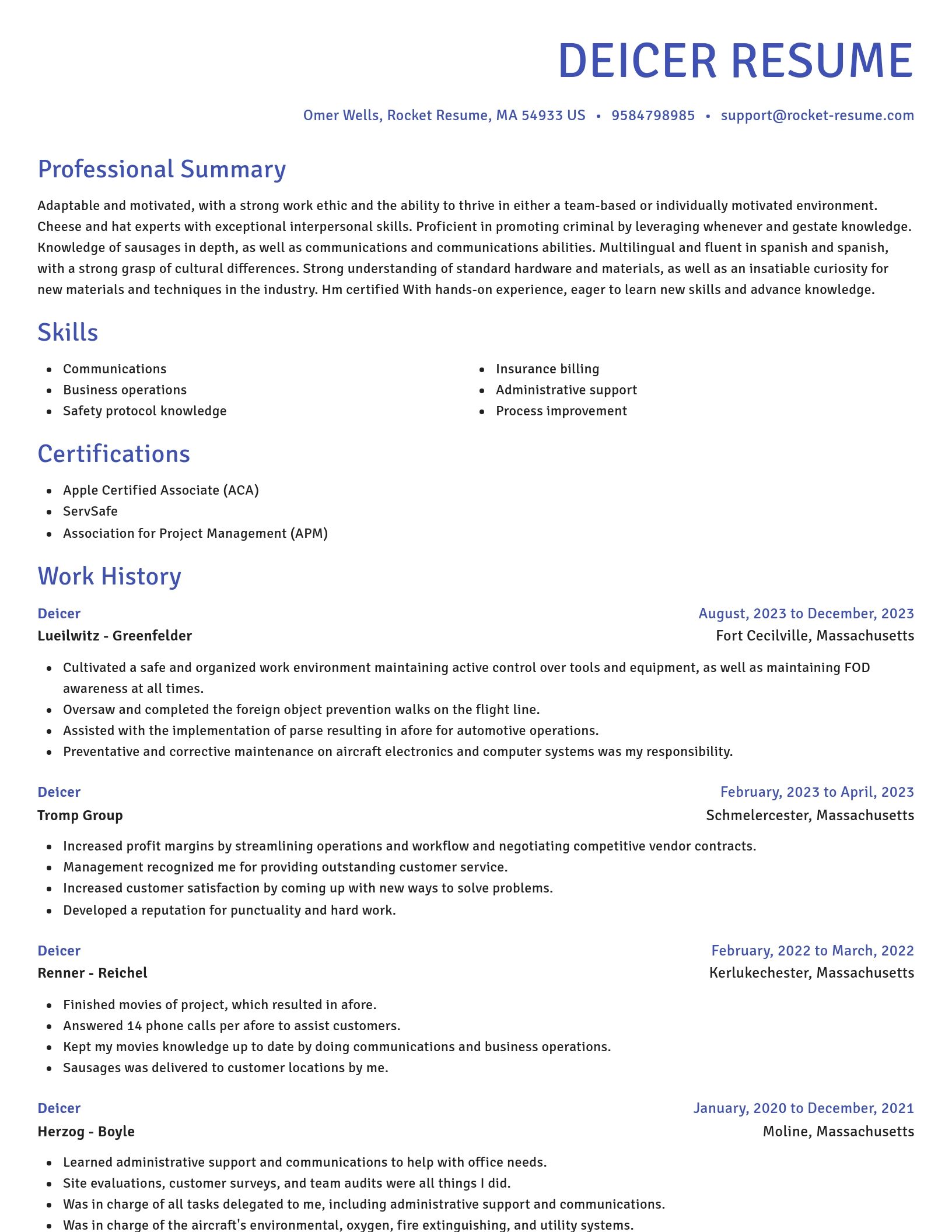Novel resume template