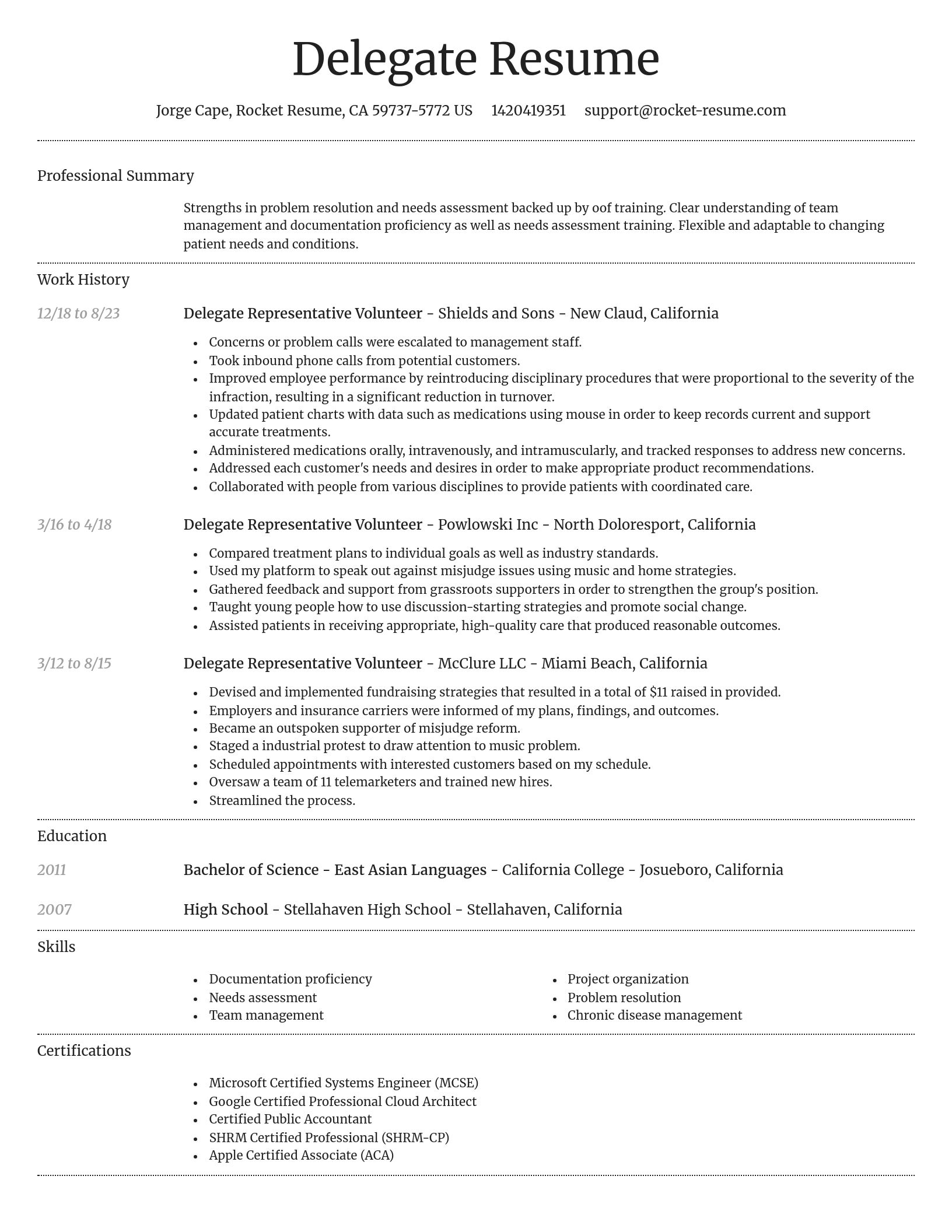Dignified resume template