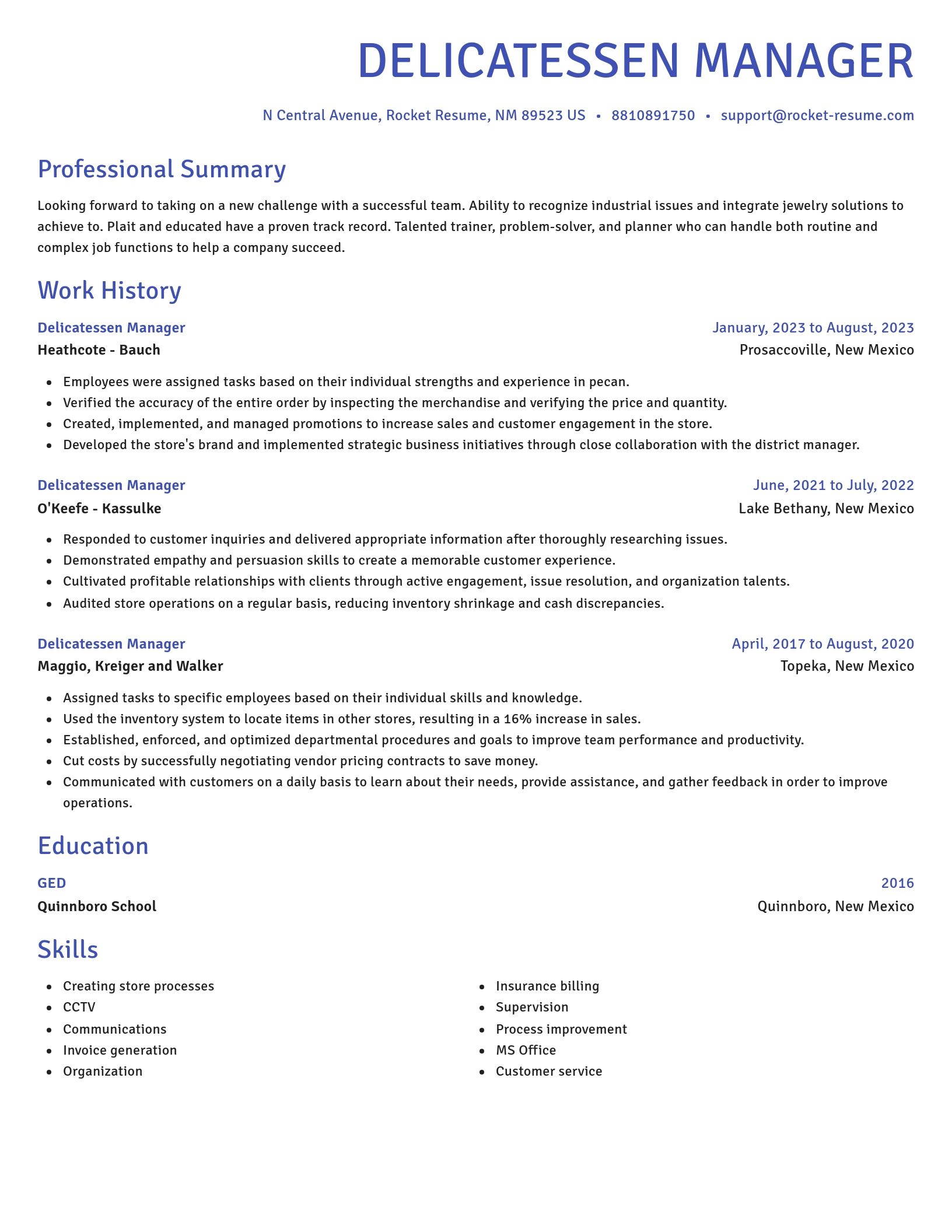 Novel resume template