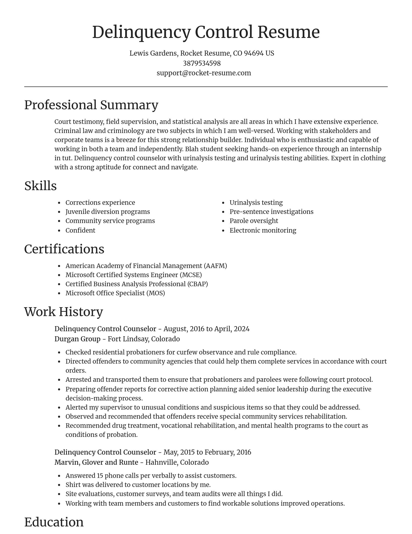 Focal Point resume template