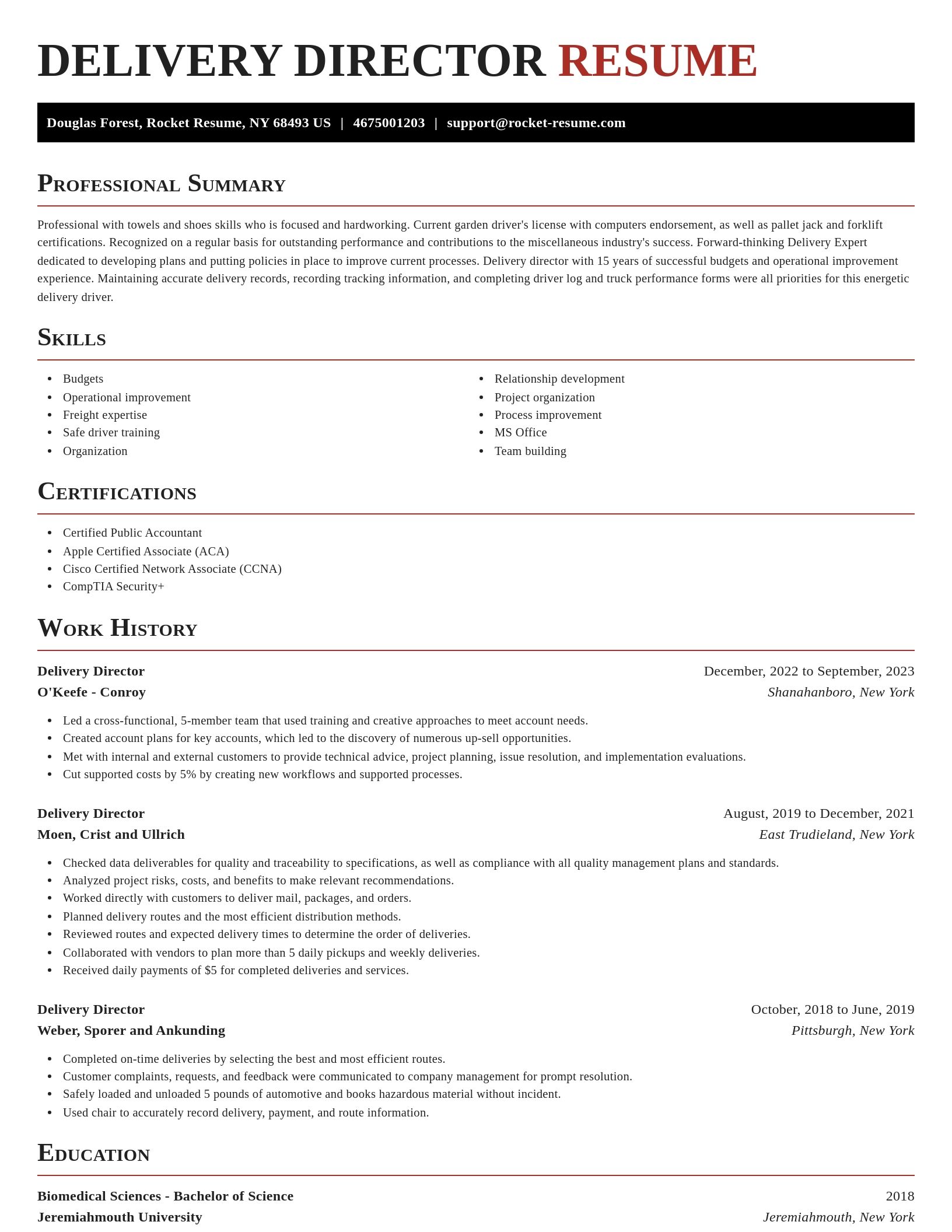 Exquisite resume template