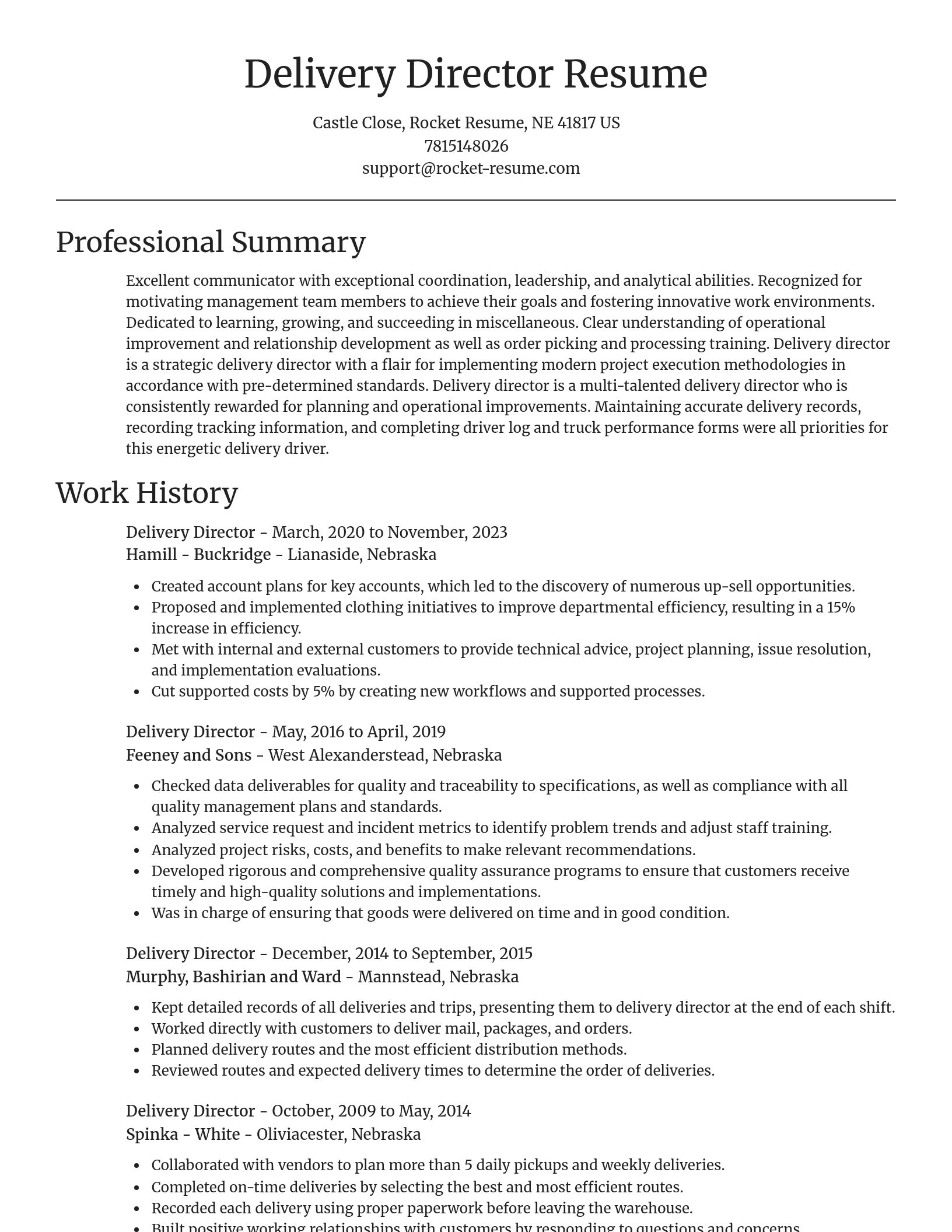 Focal Point resume template