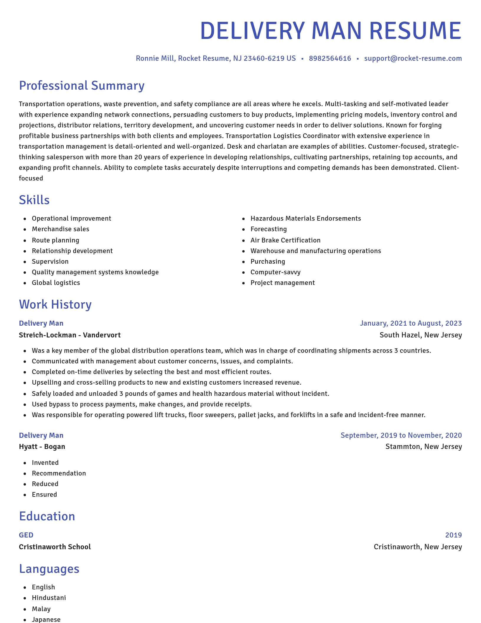 Novel resume template