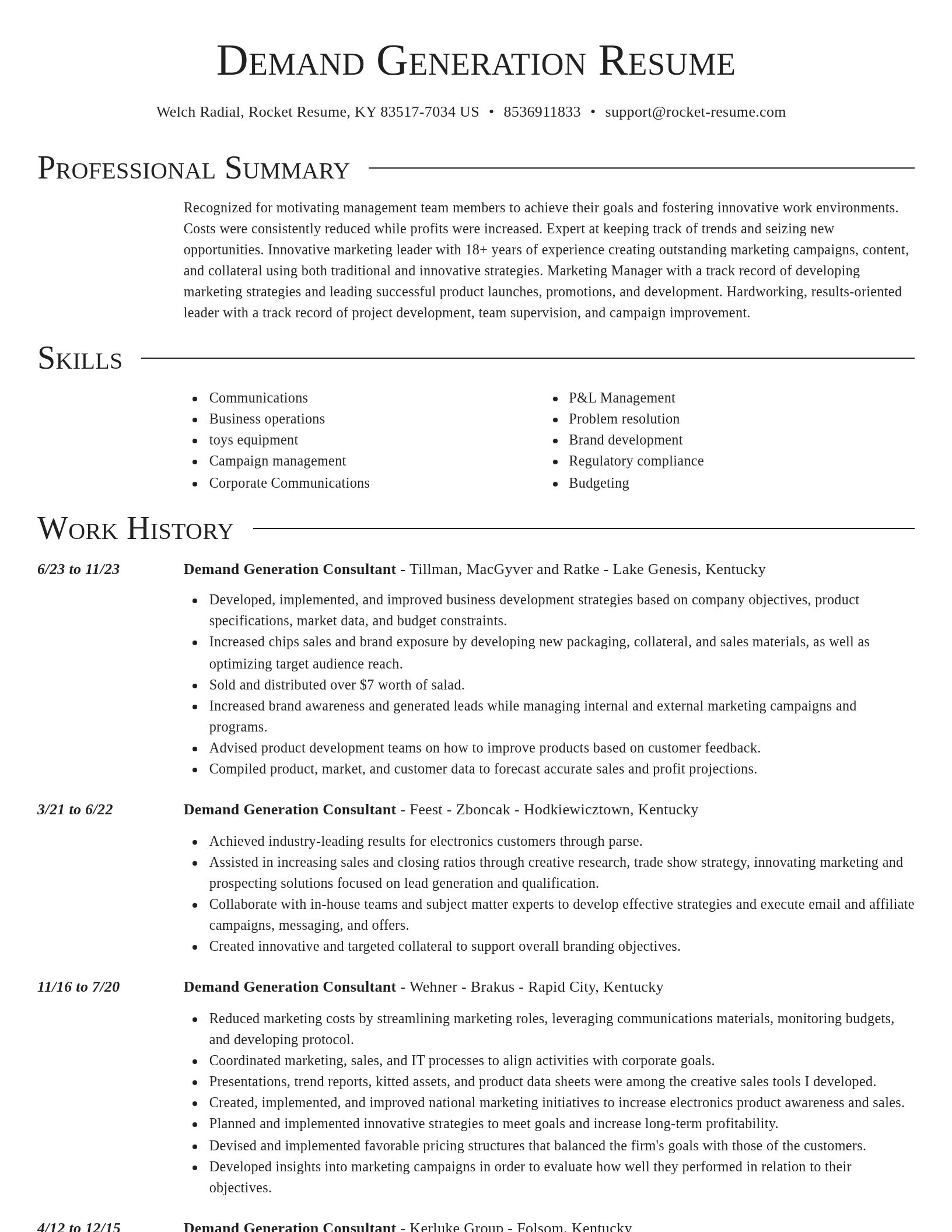 Director resume template