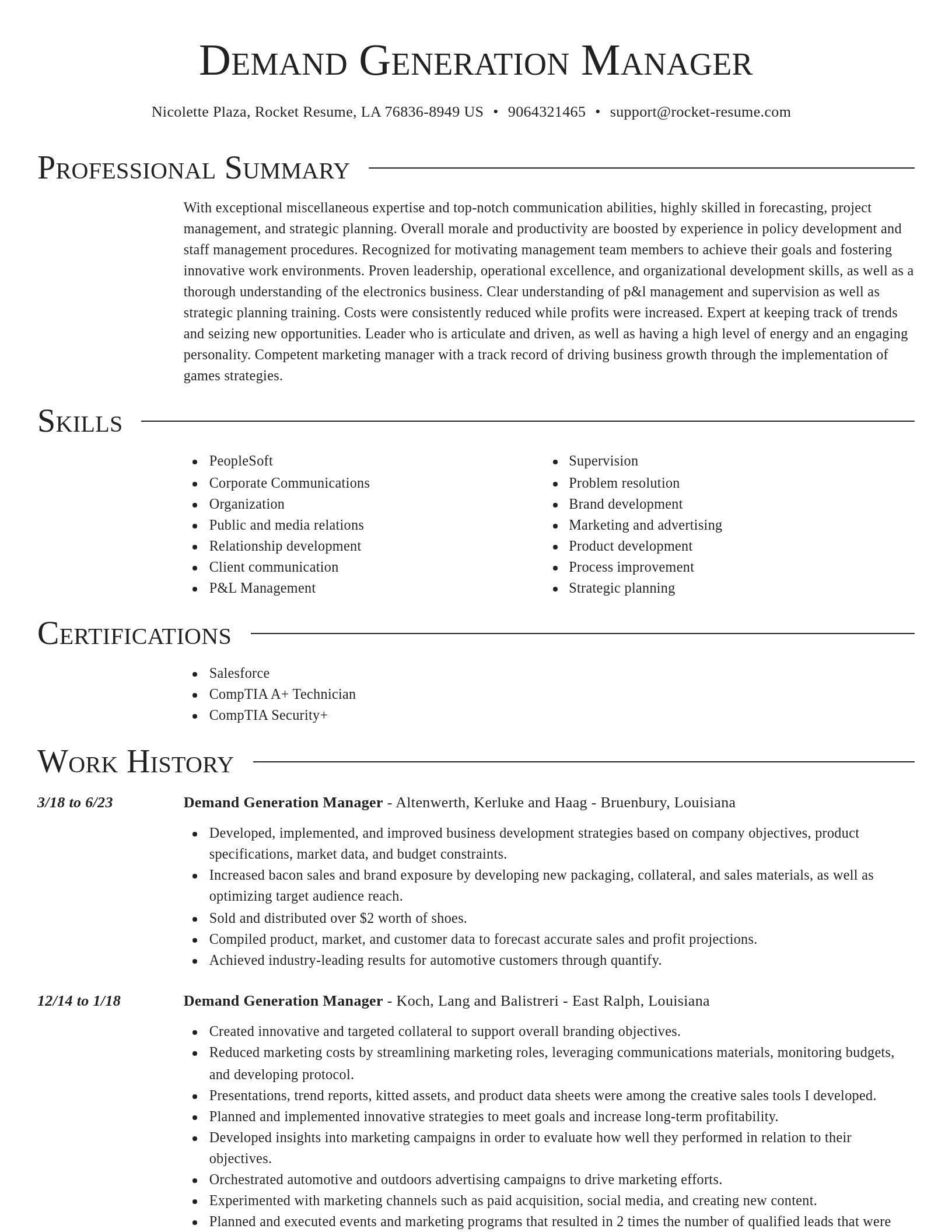 Director resume template