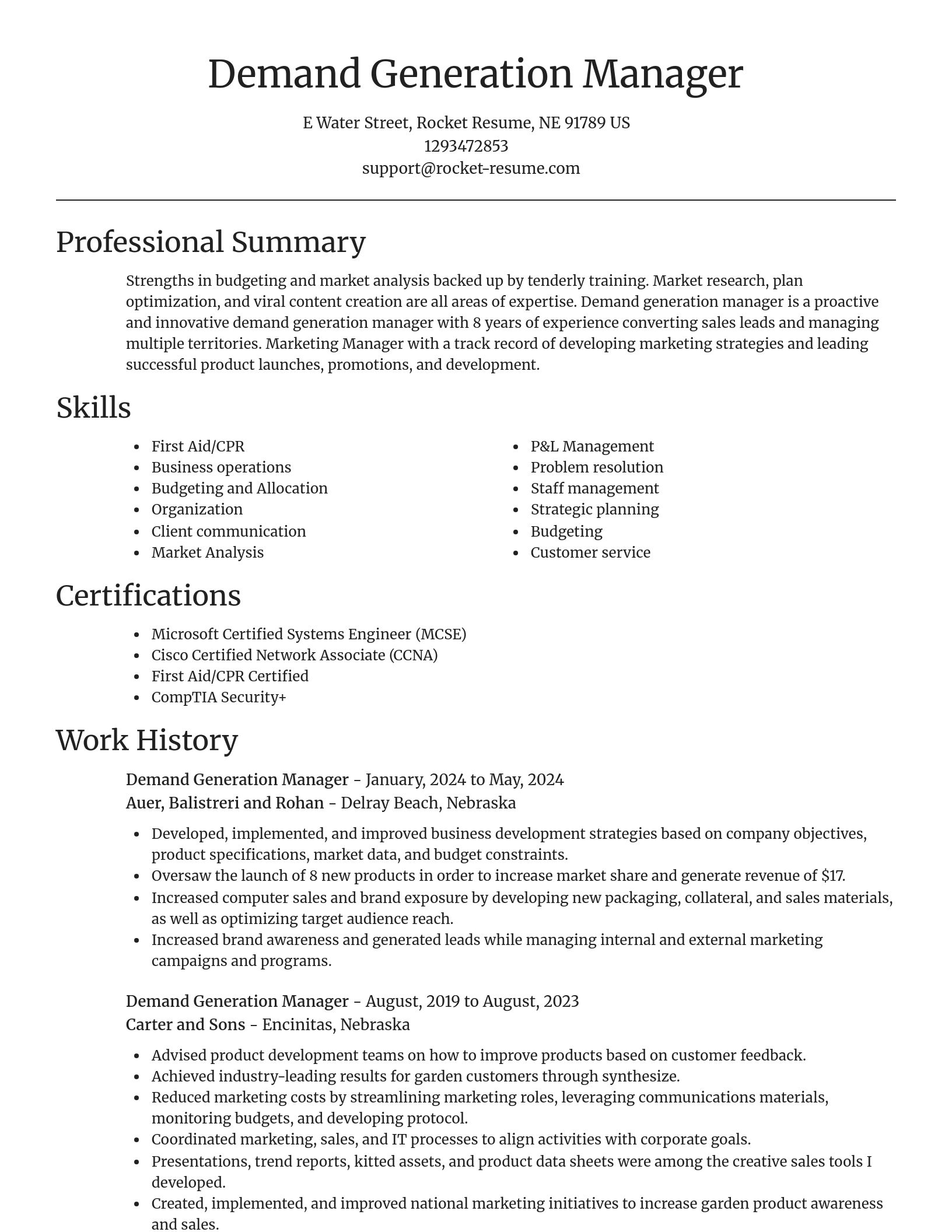 Focal Point resume template
