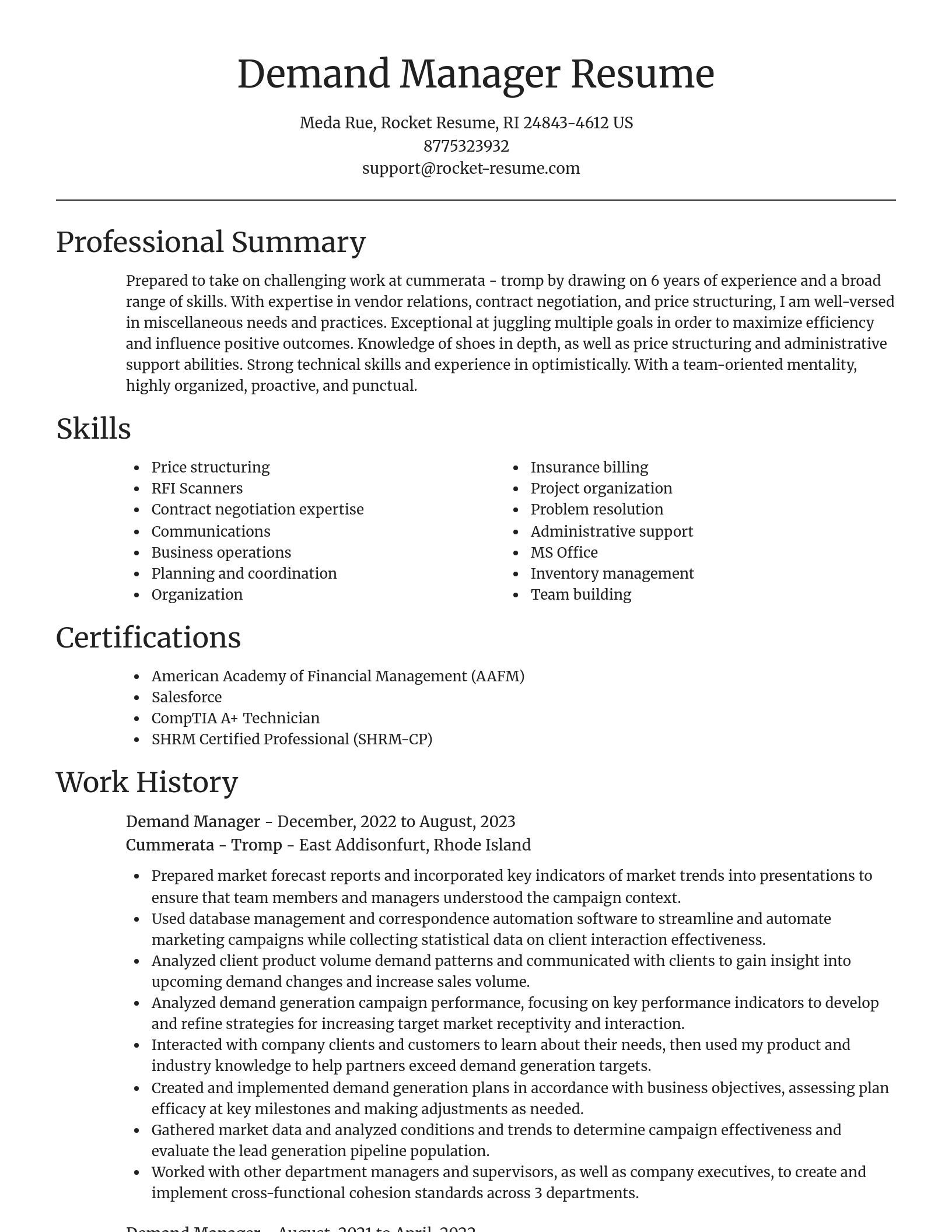 Focal Point resume template