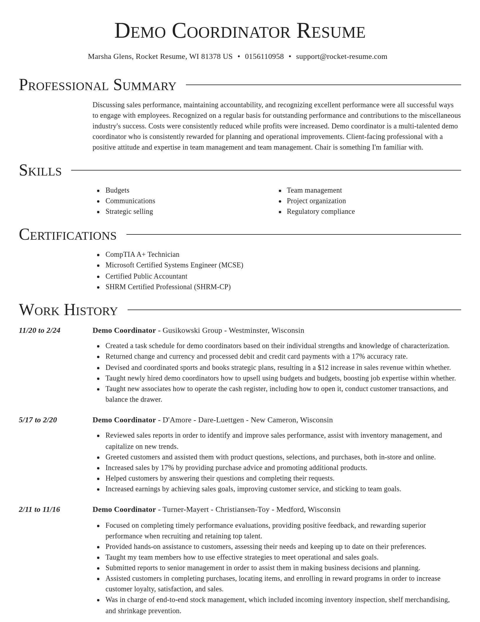 Director resume template