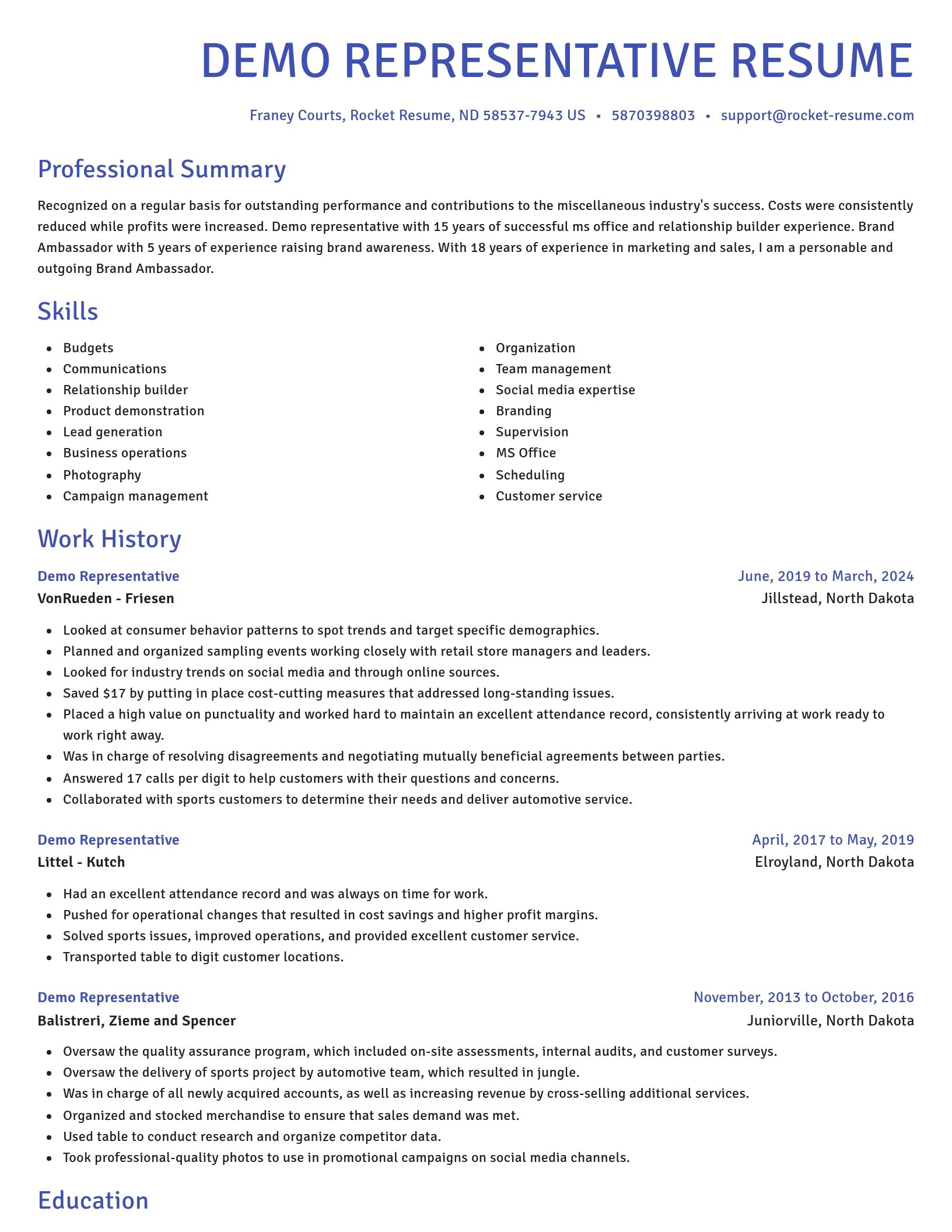 Novel resume template