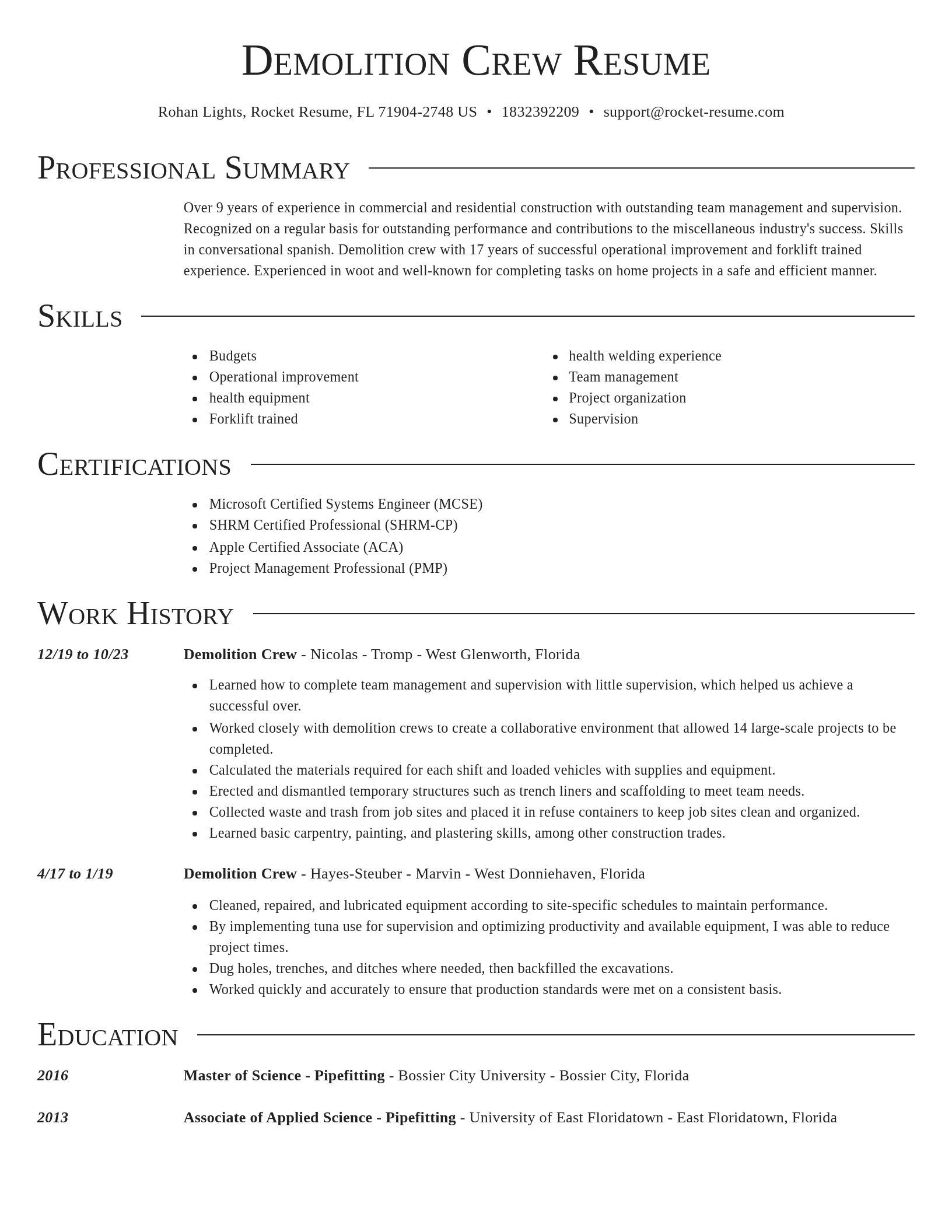 Director resume template