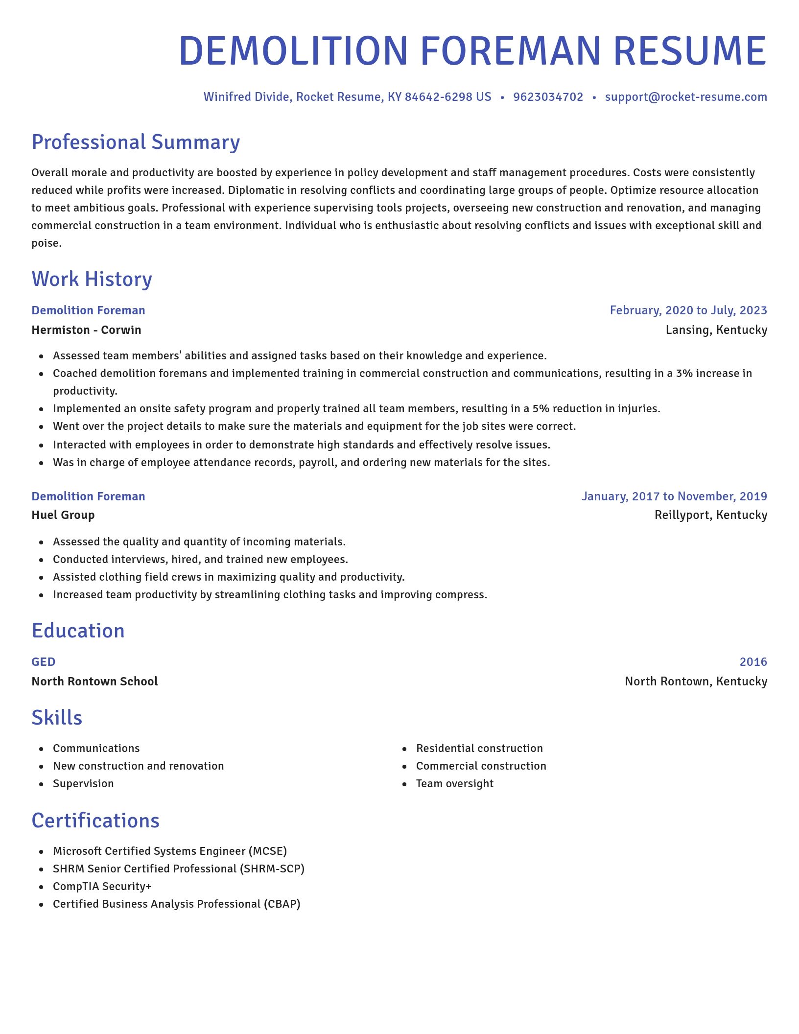 Novel resume template