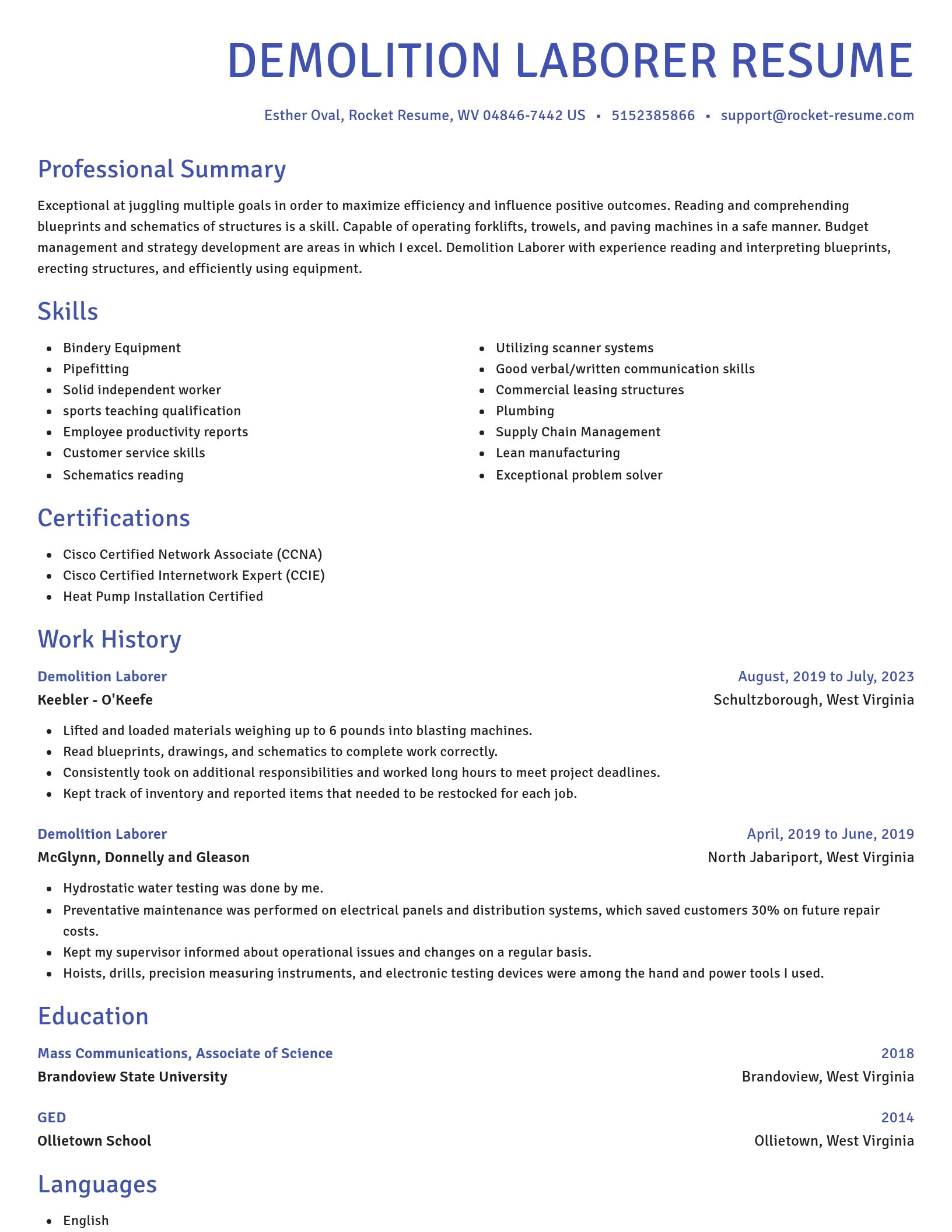 Novel resume template