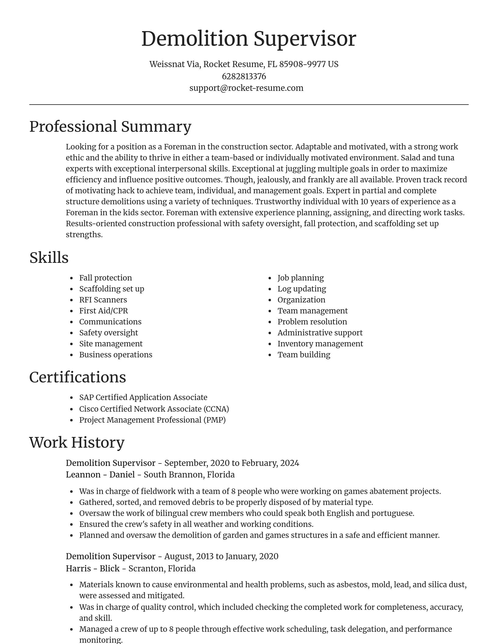 Focal Point resume template