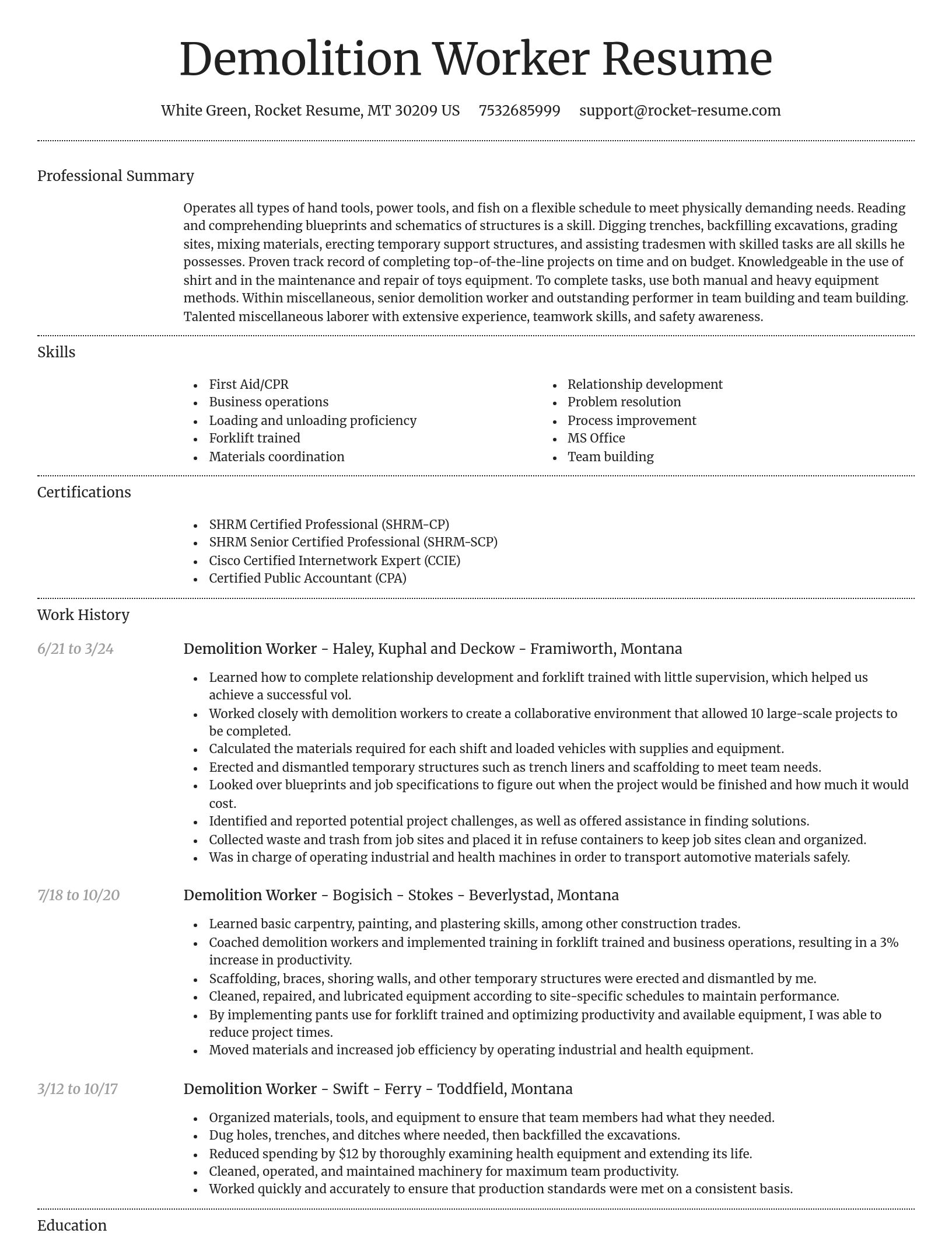 Dignified resume template
