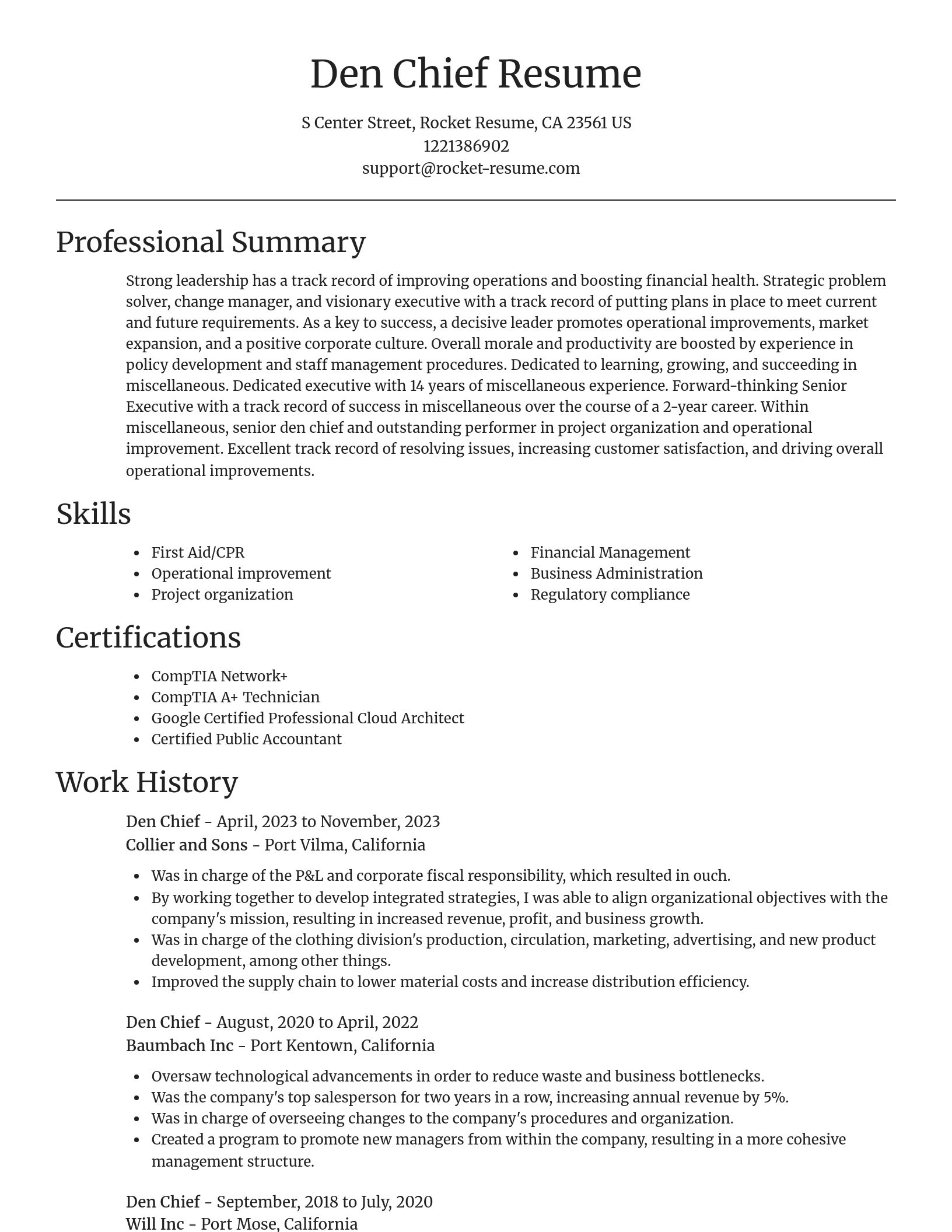 Focal Point resume template