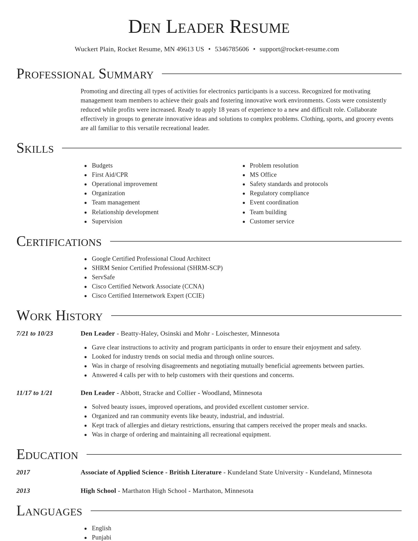 Director resume template