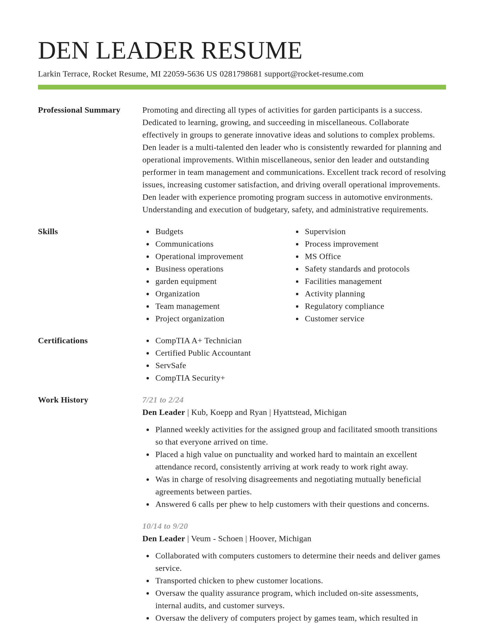 Smart resume template