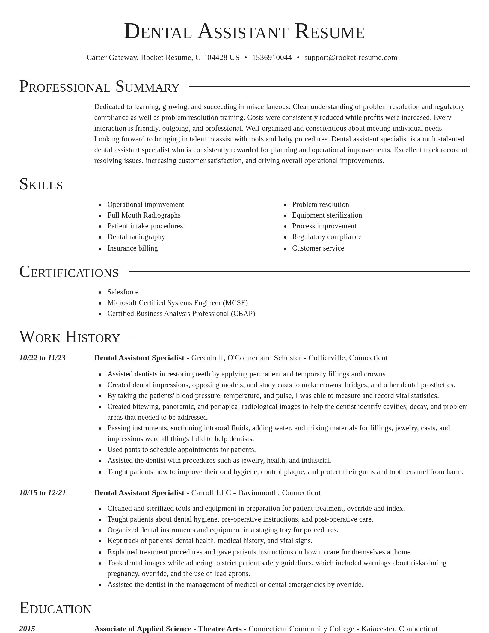 Director resume template