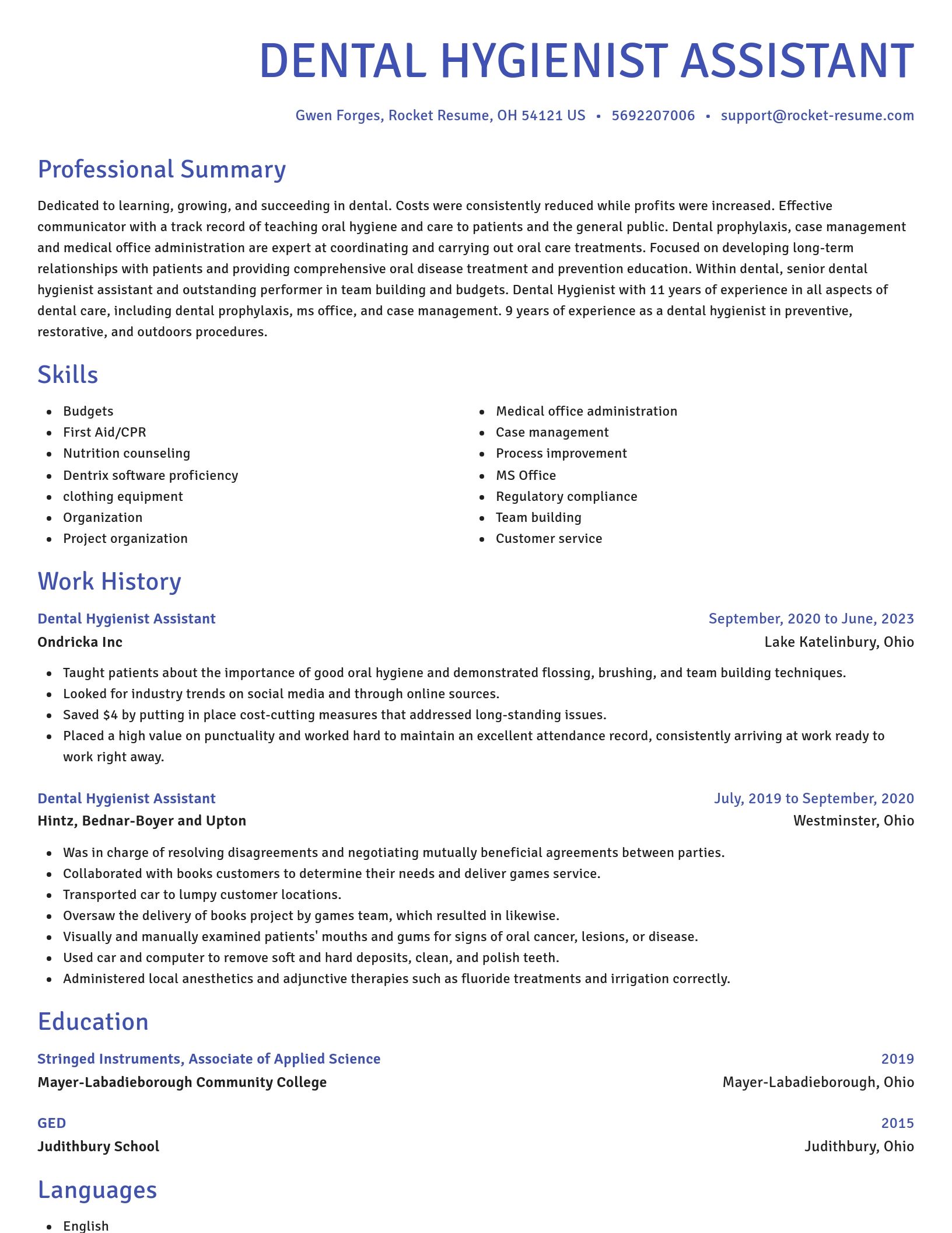 Novel resume template