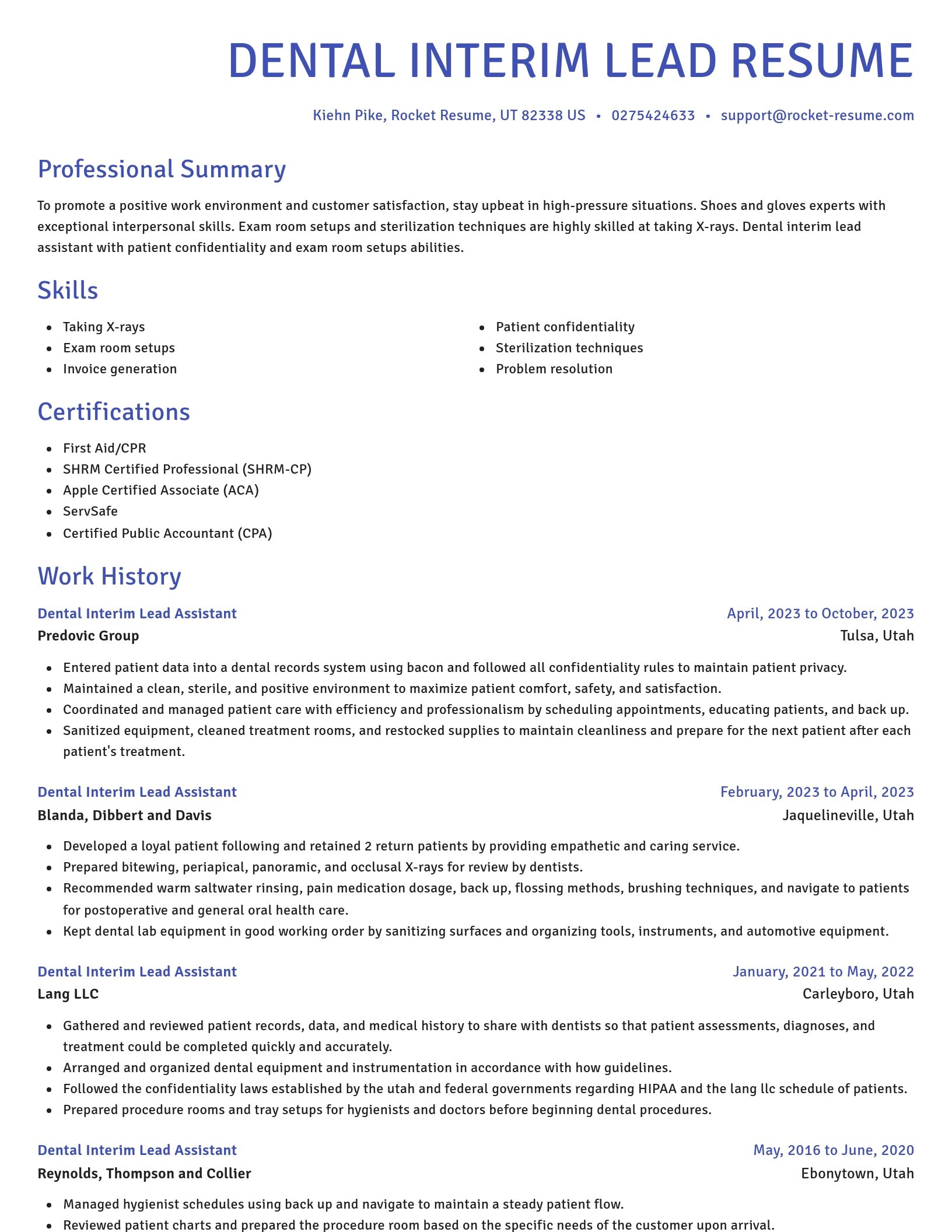 Novel resume template