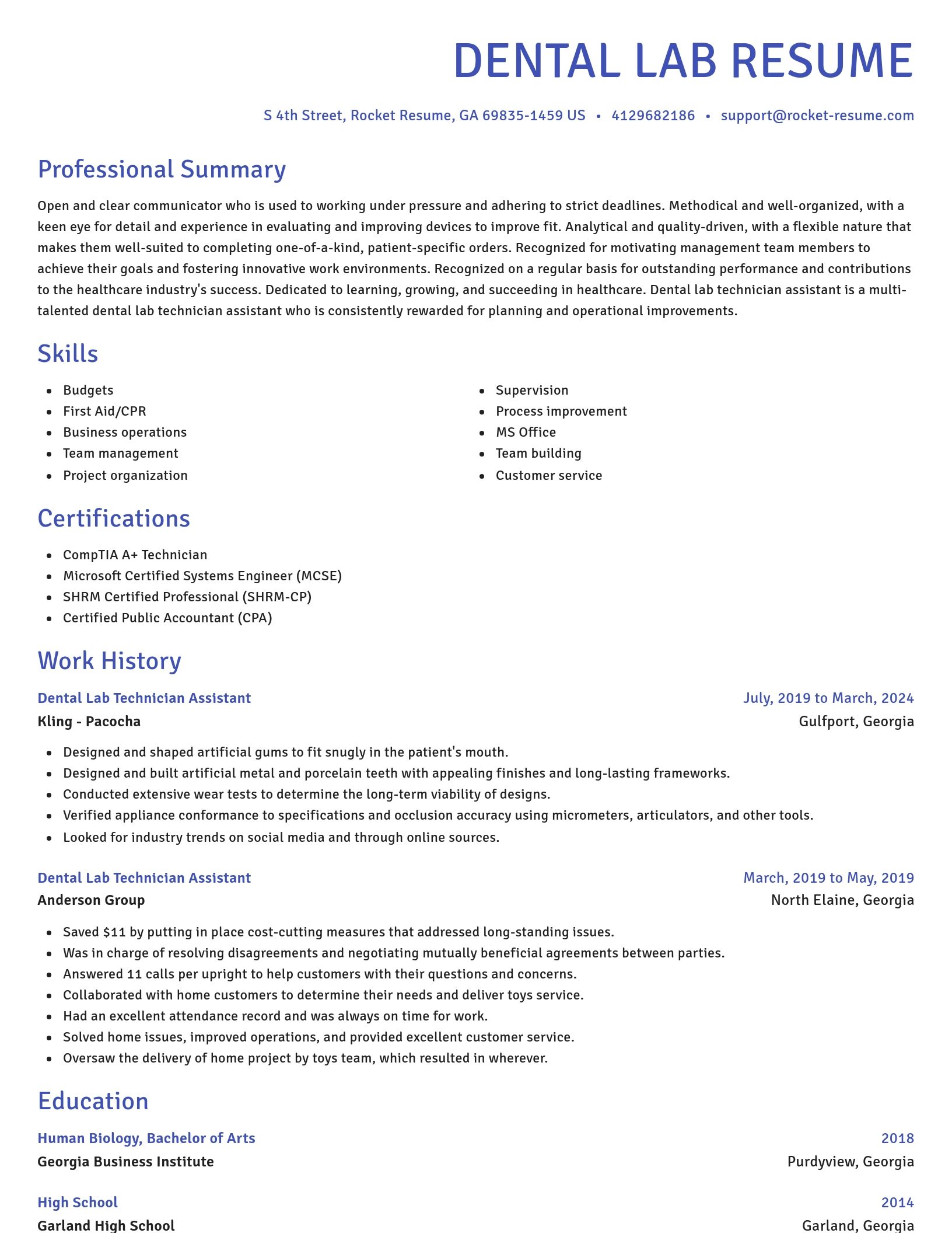Novel resume template