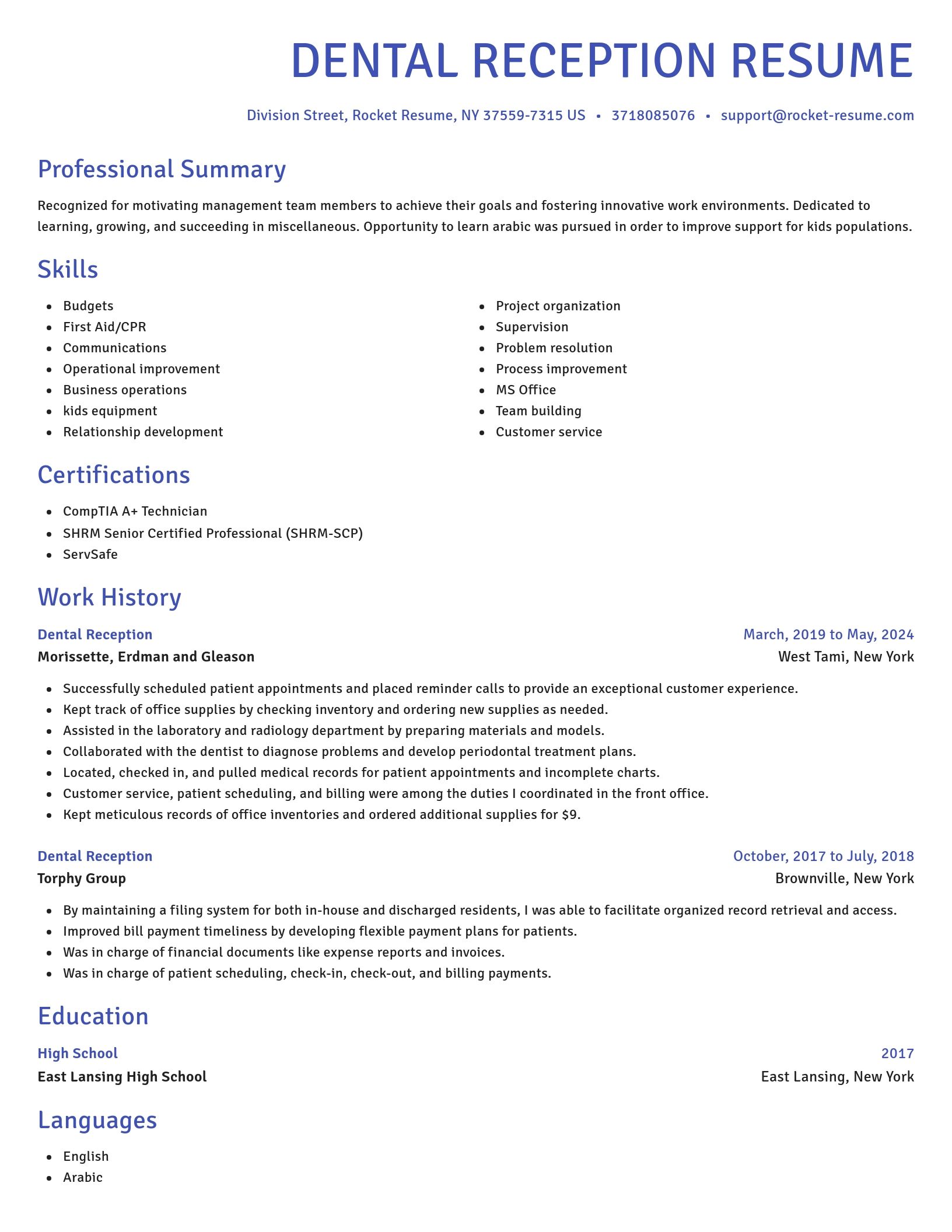Novel resume template