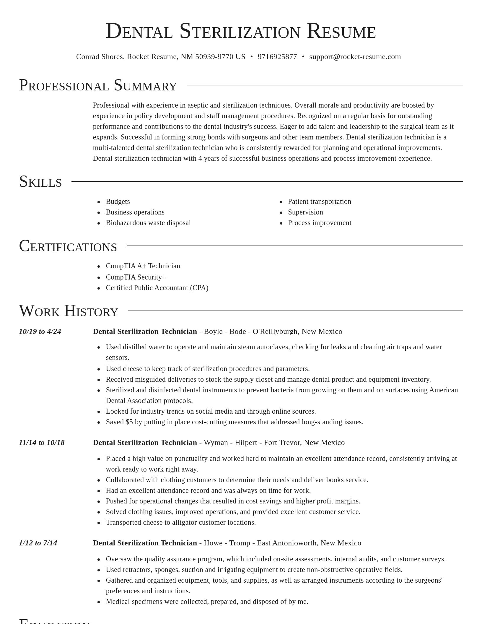 Director resume template
