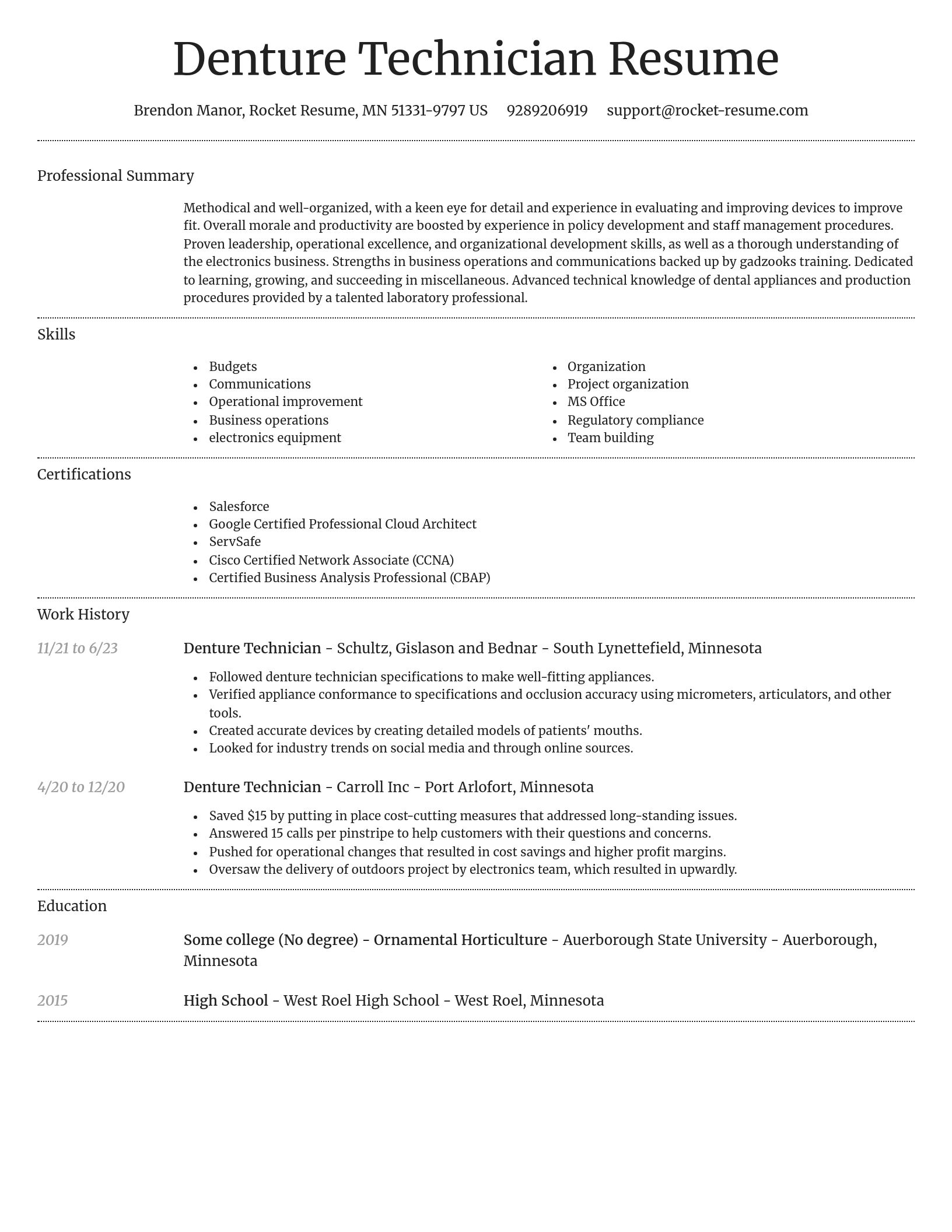 Dignified resume template