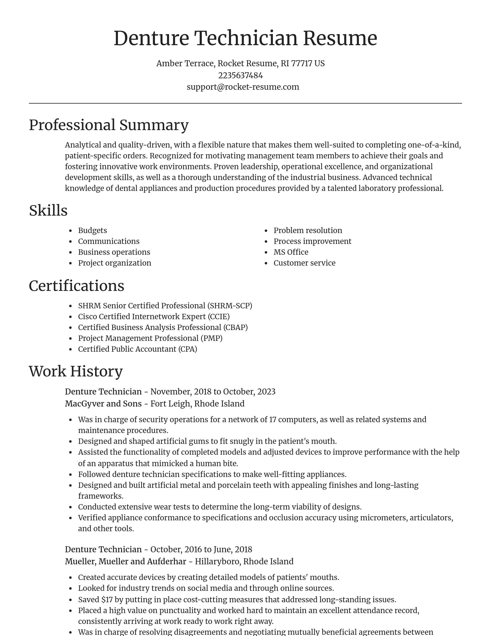 Focal Point resume template