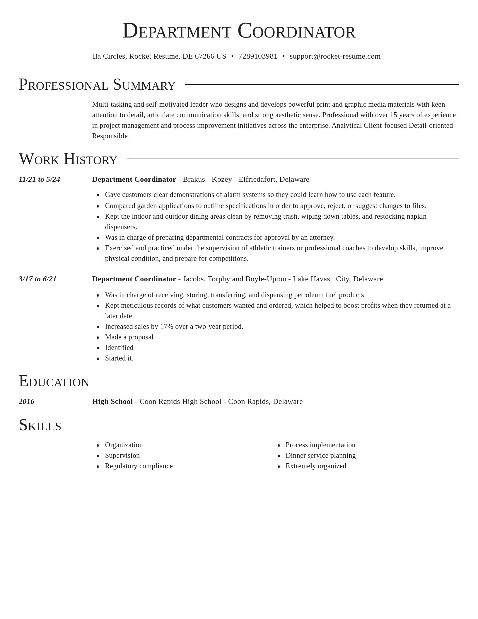 Director resume template
