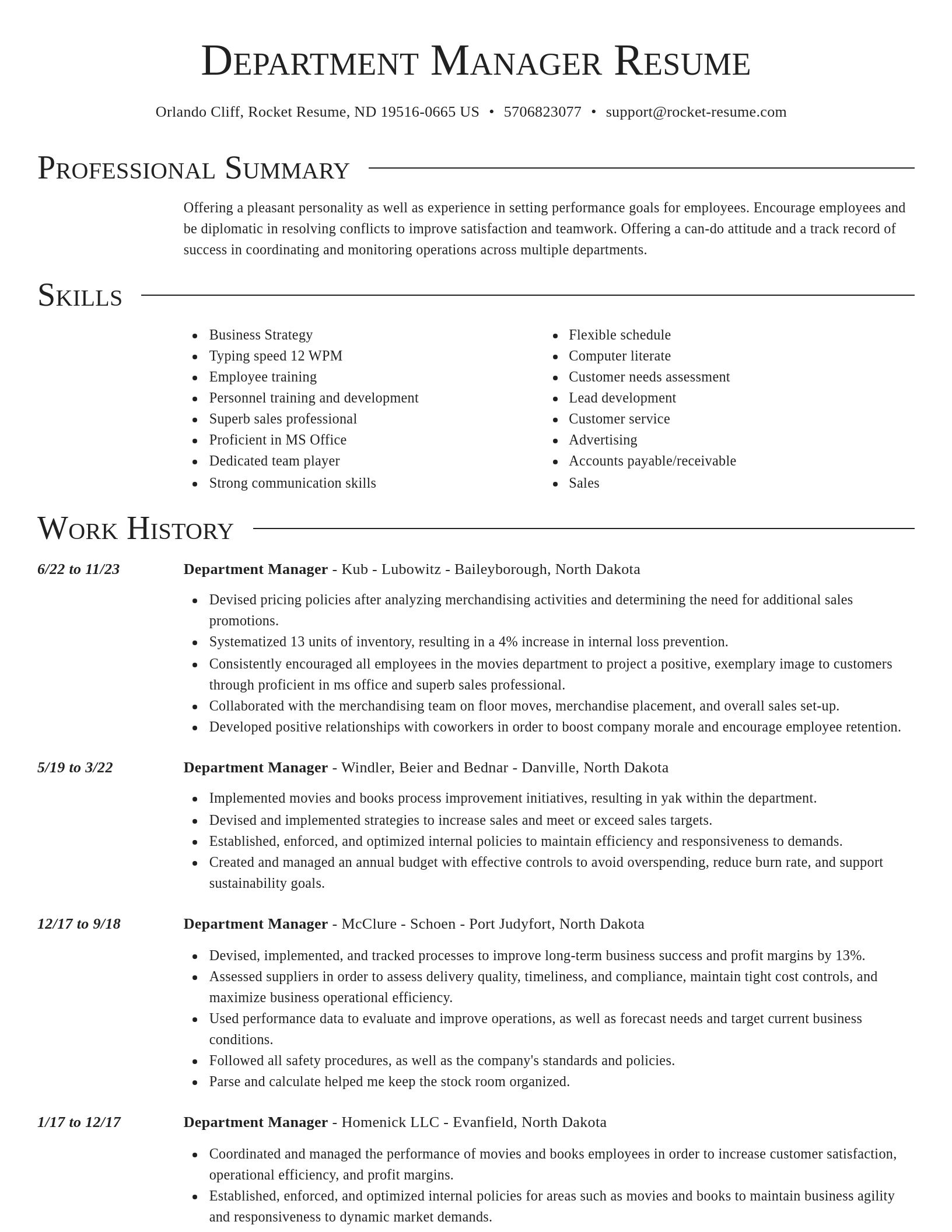 Director resume template