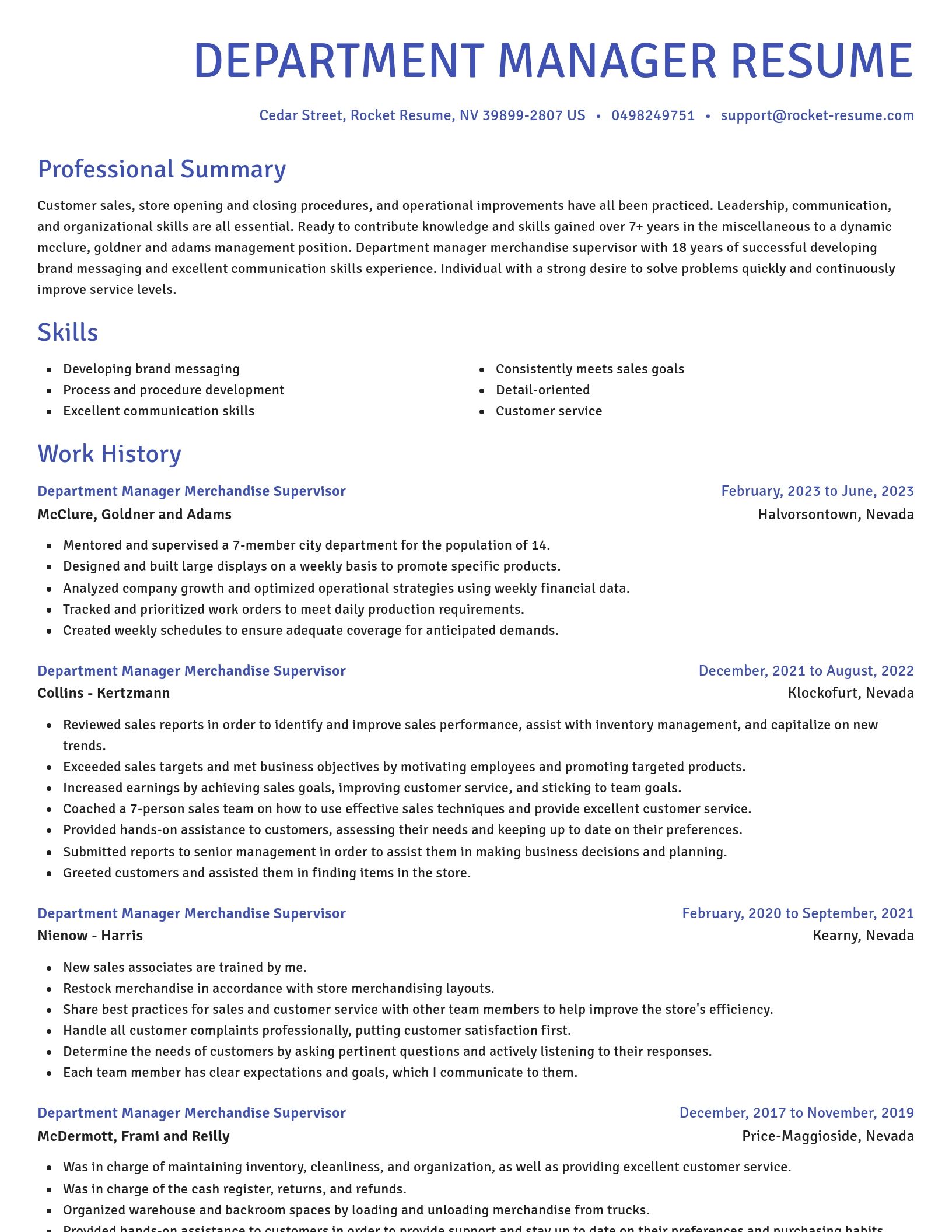 Novel resume template