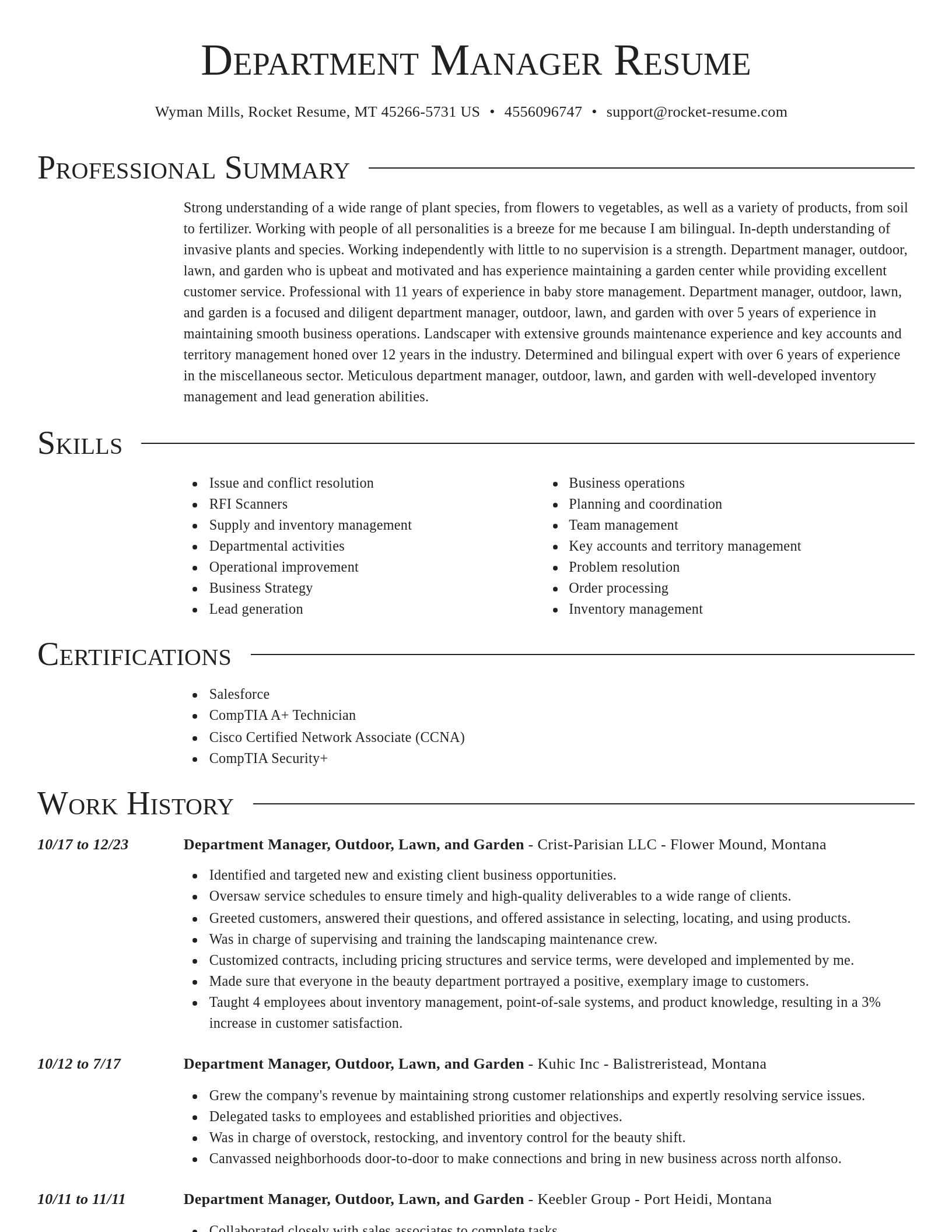 Director resume template