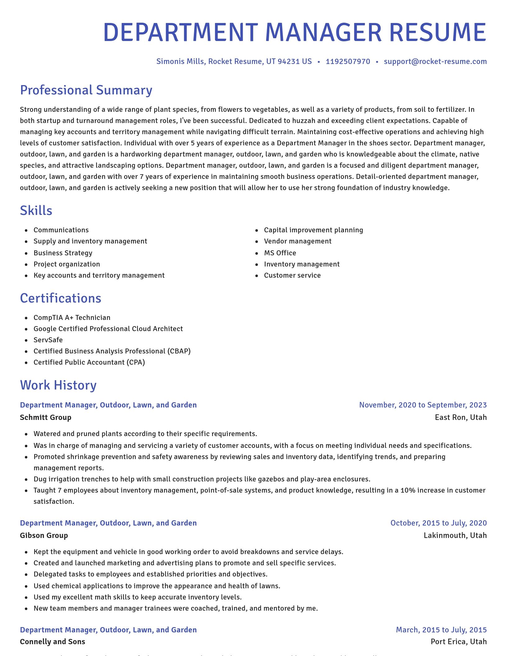 Novel resume template