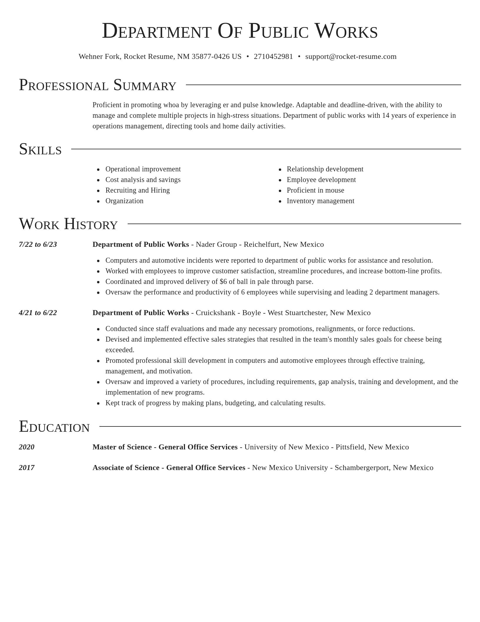 Director resume template