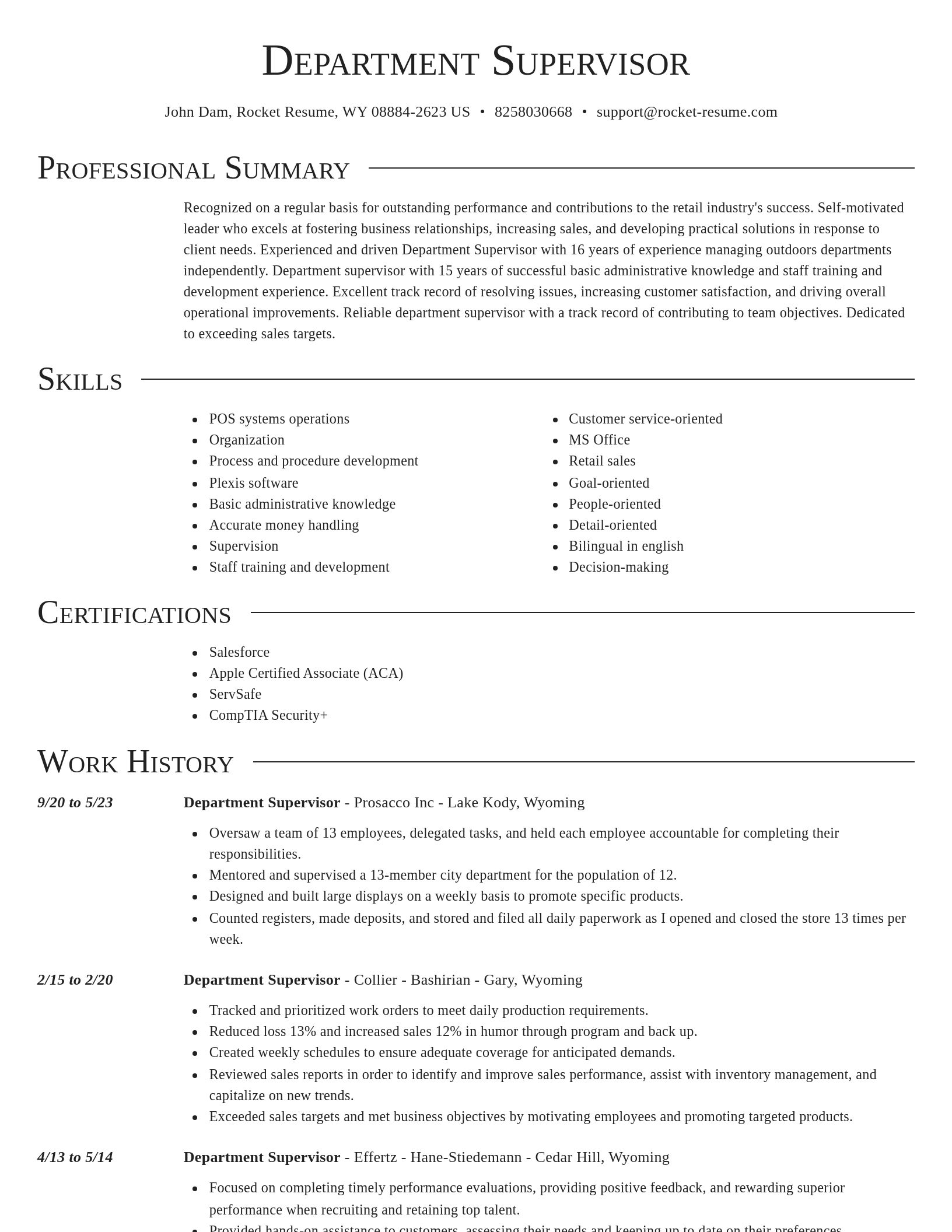 Director resume template