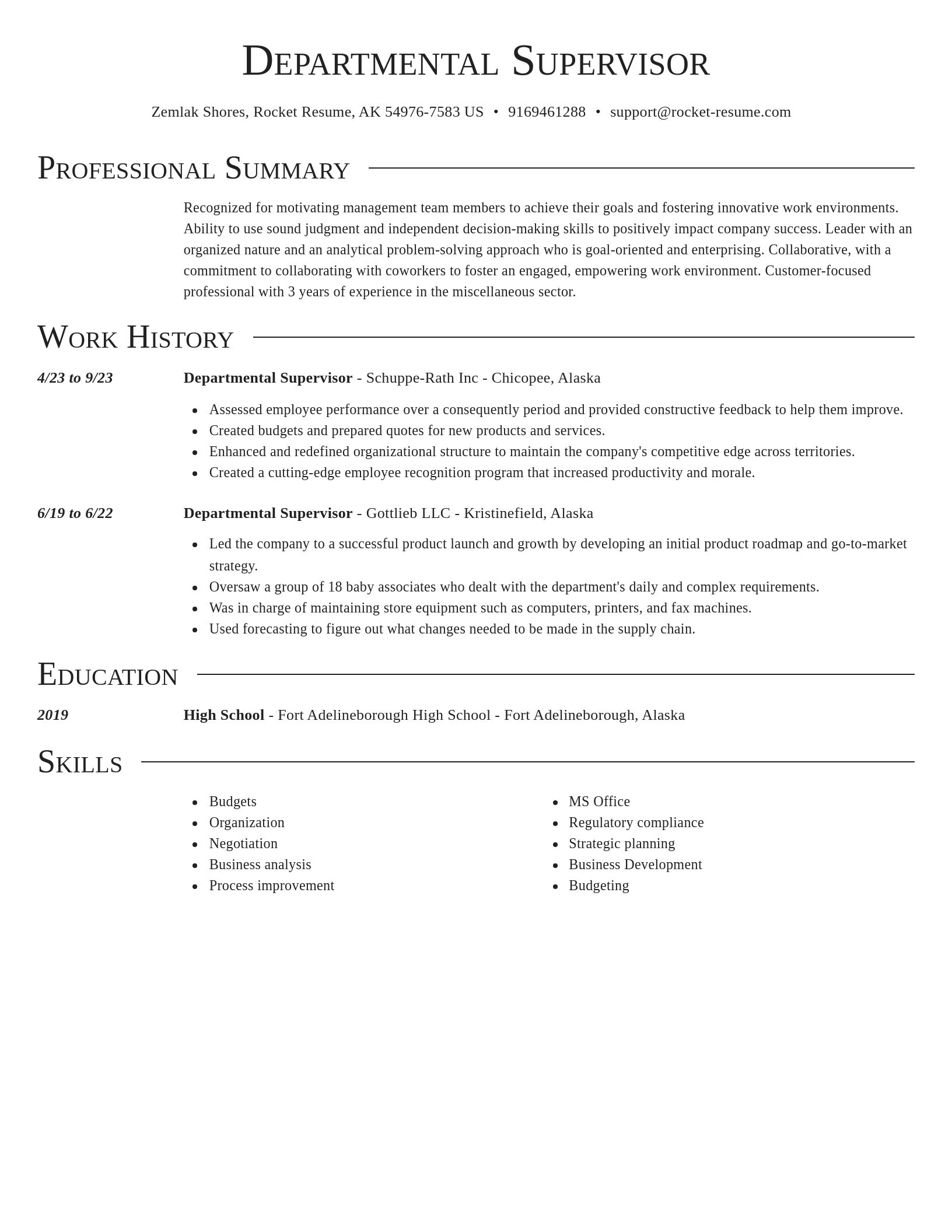 Director resume template