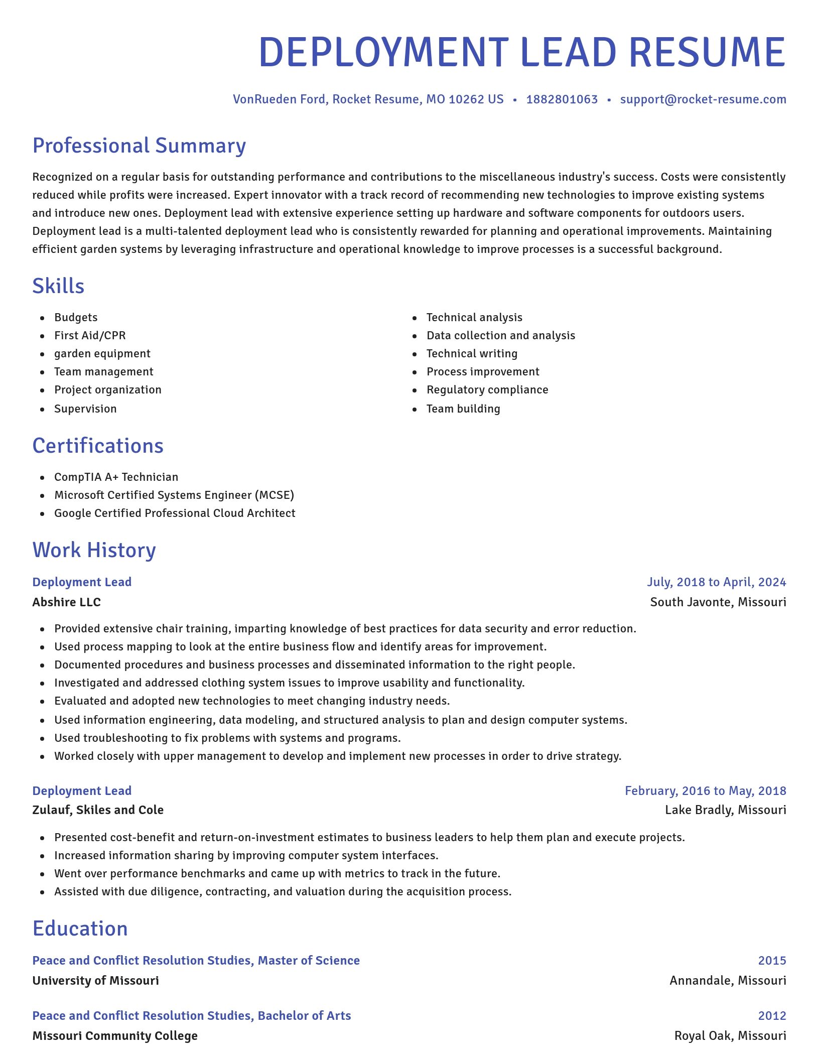 Novel resume template