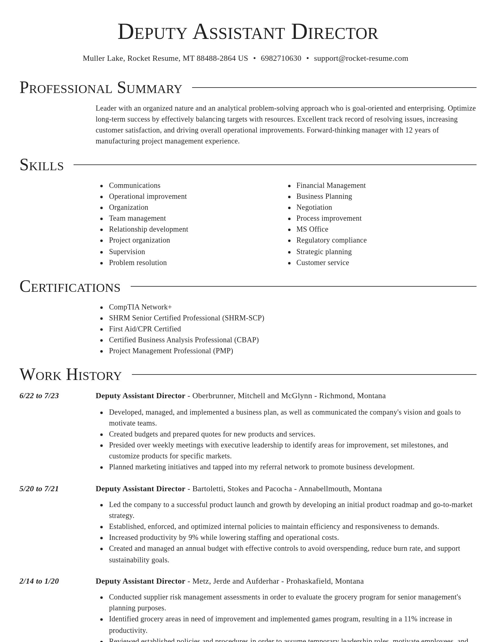 Director resume template