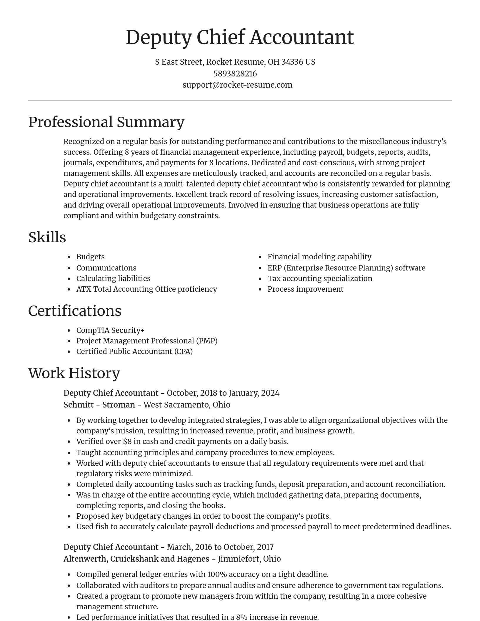 Focal Point resume template
