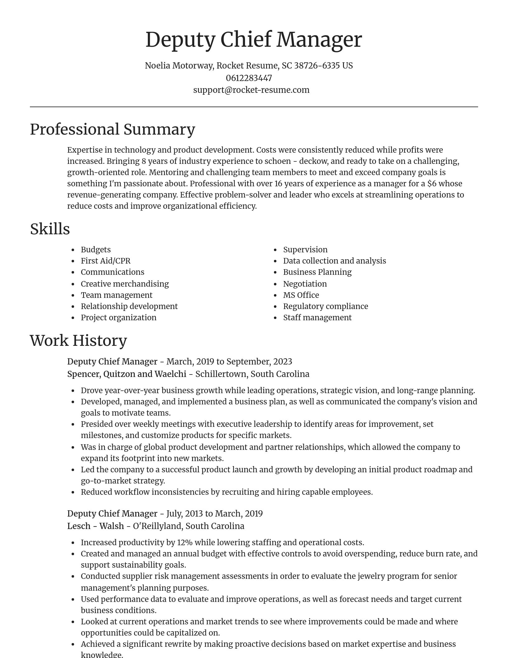 Focal Point resume template