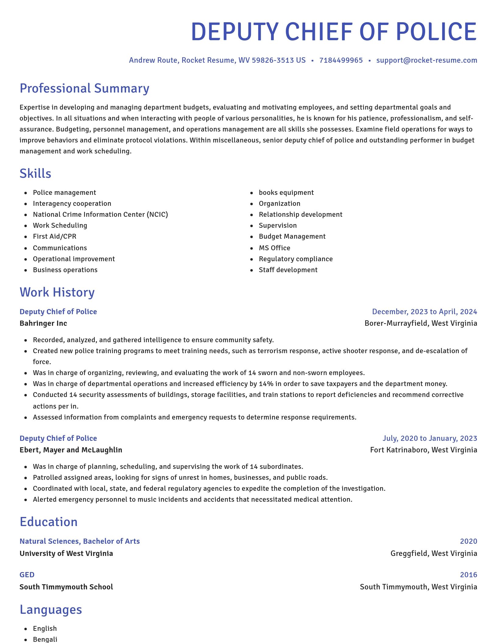Novel resume template