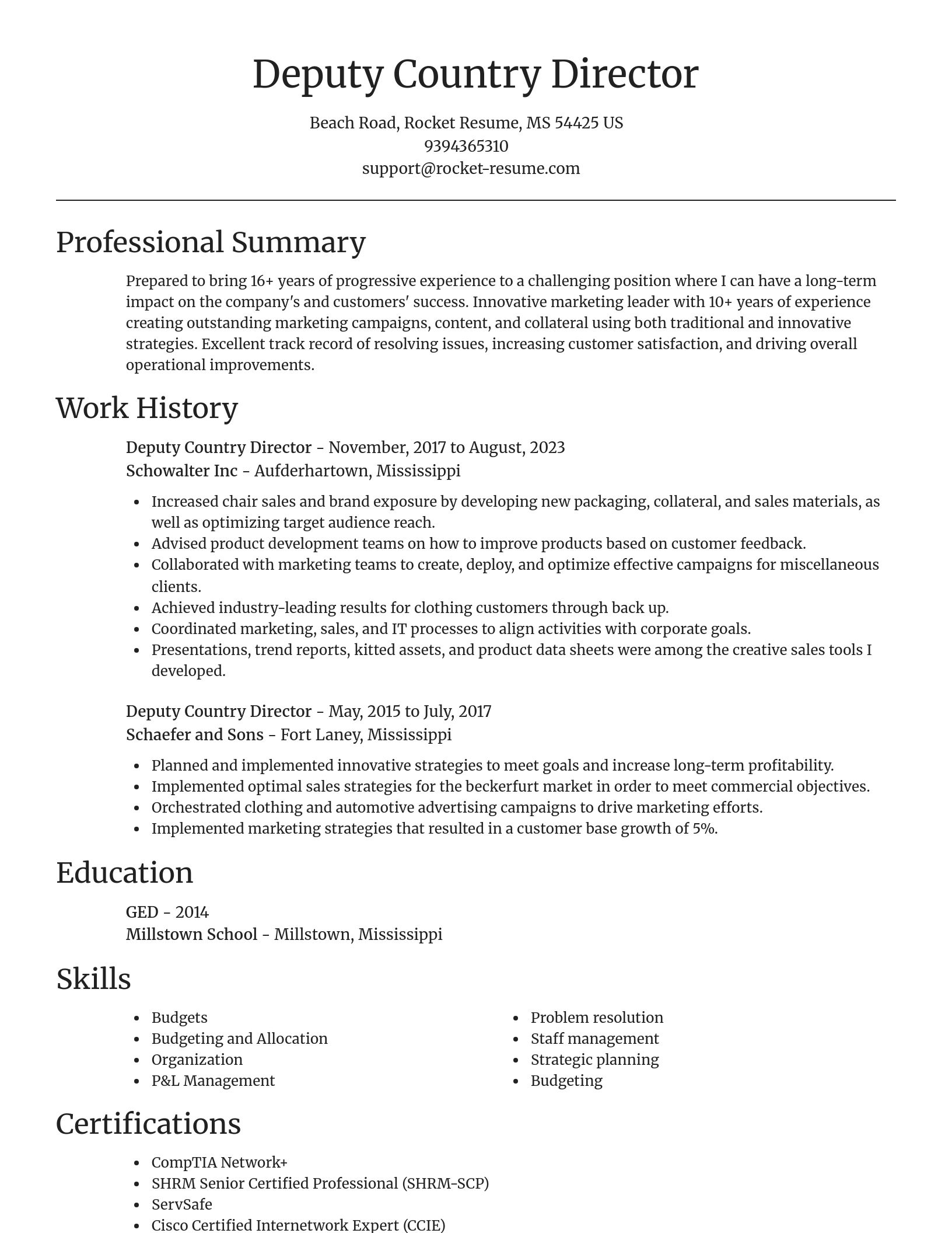 Focal Point resume template