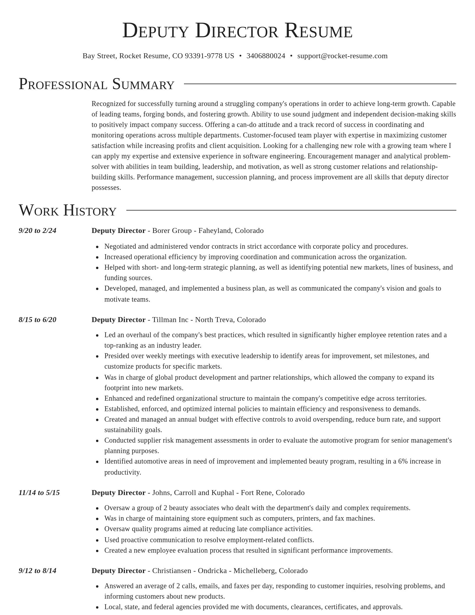 Director resume template
