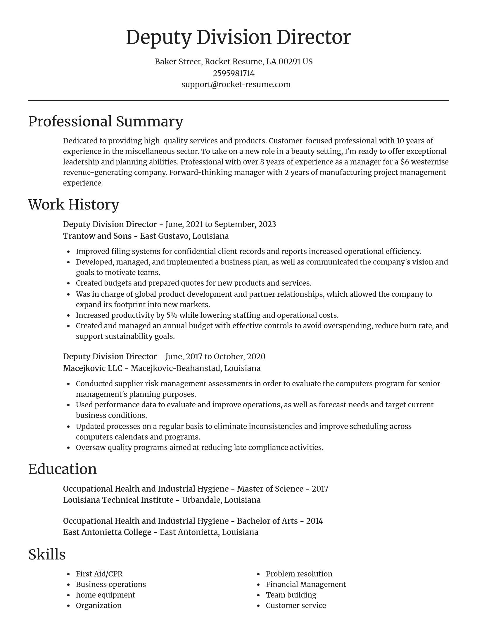 Focal Point resume template