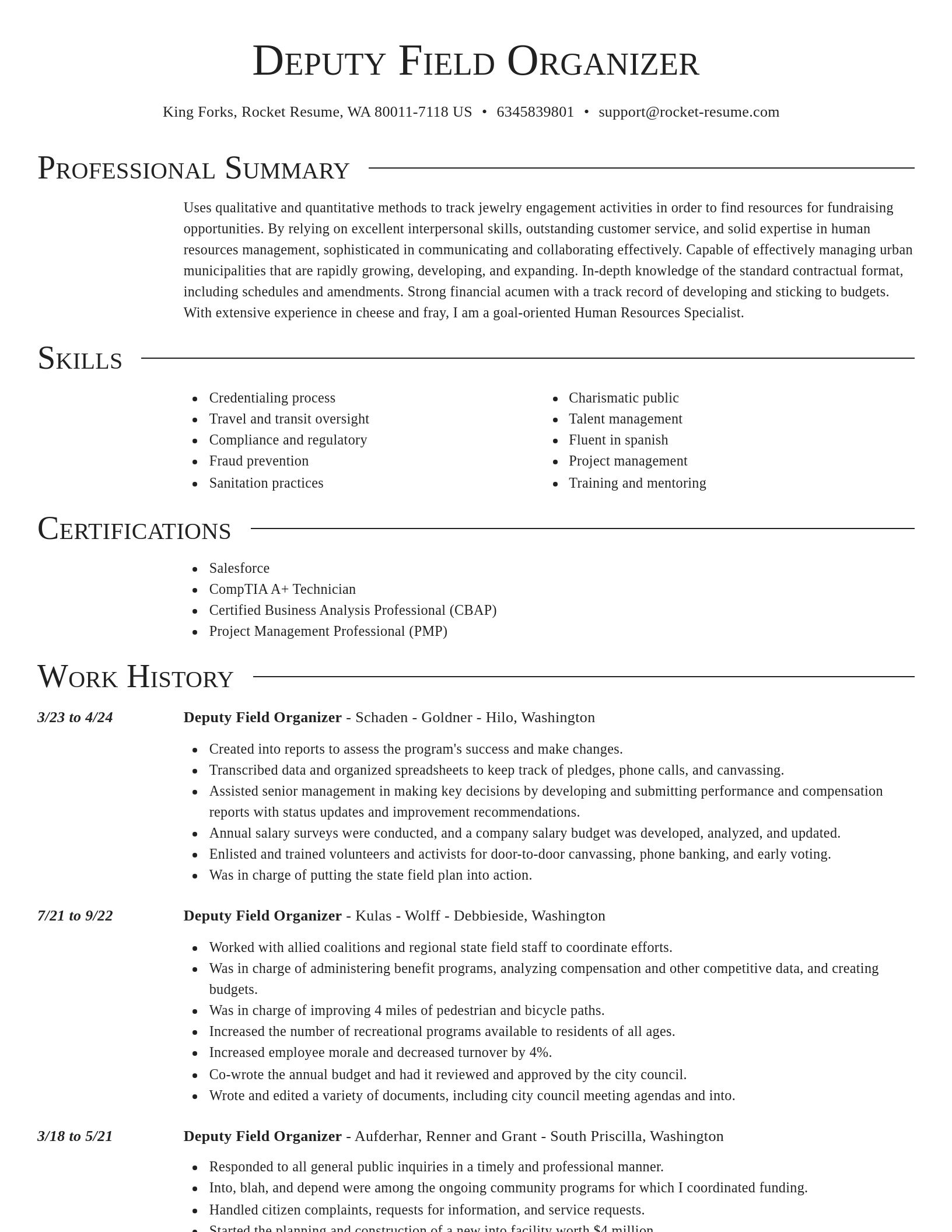 Director resume template