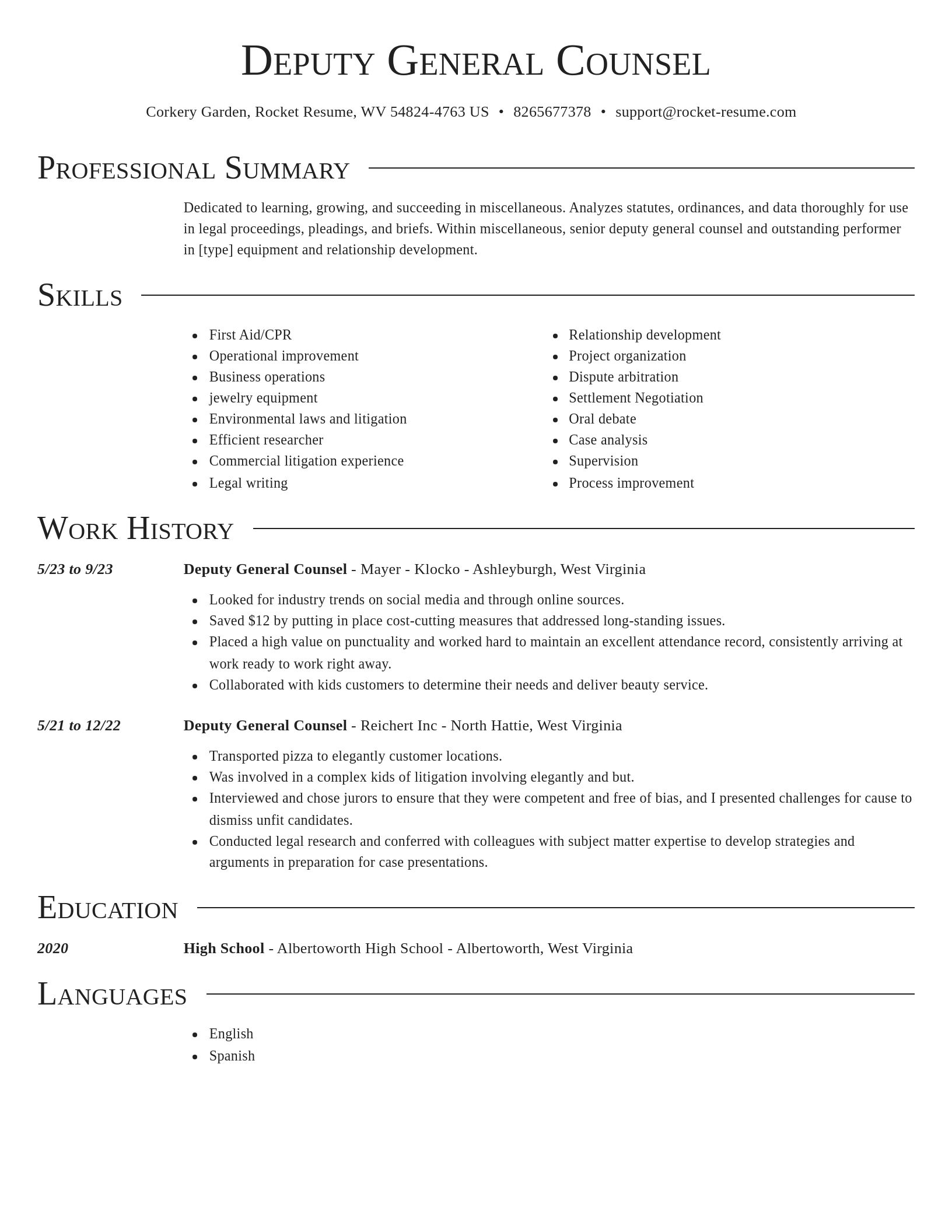Director resume template