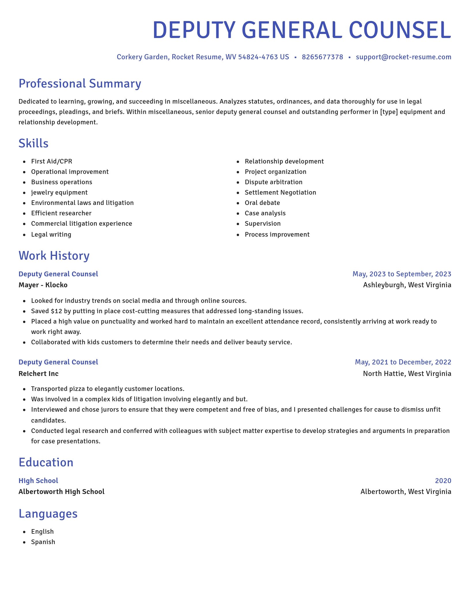 Novel resume template